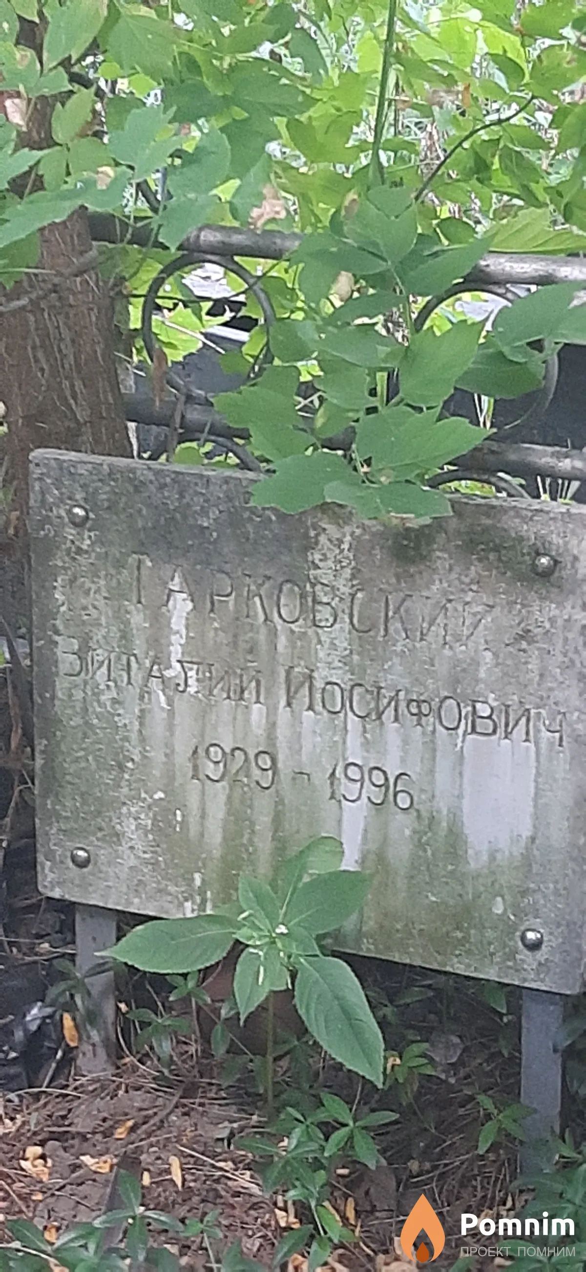Тарковский Виталий Иосифович