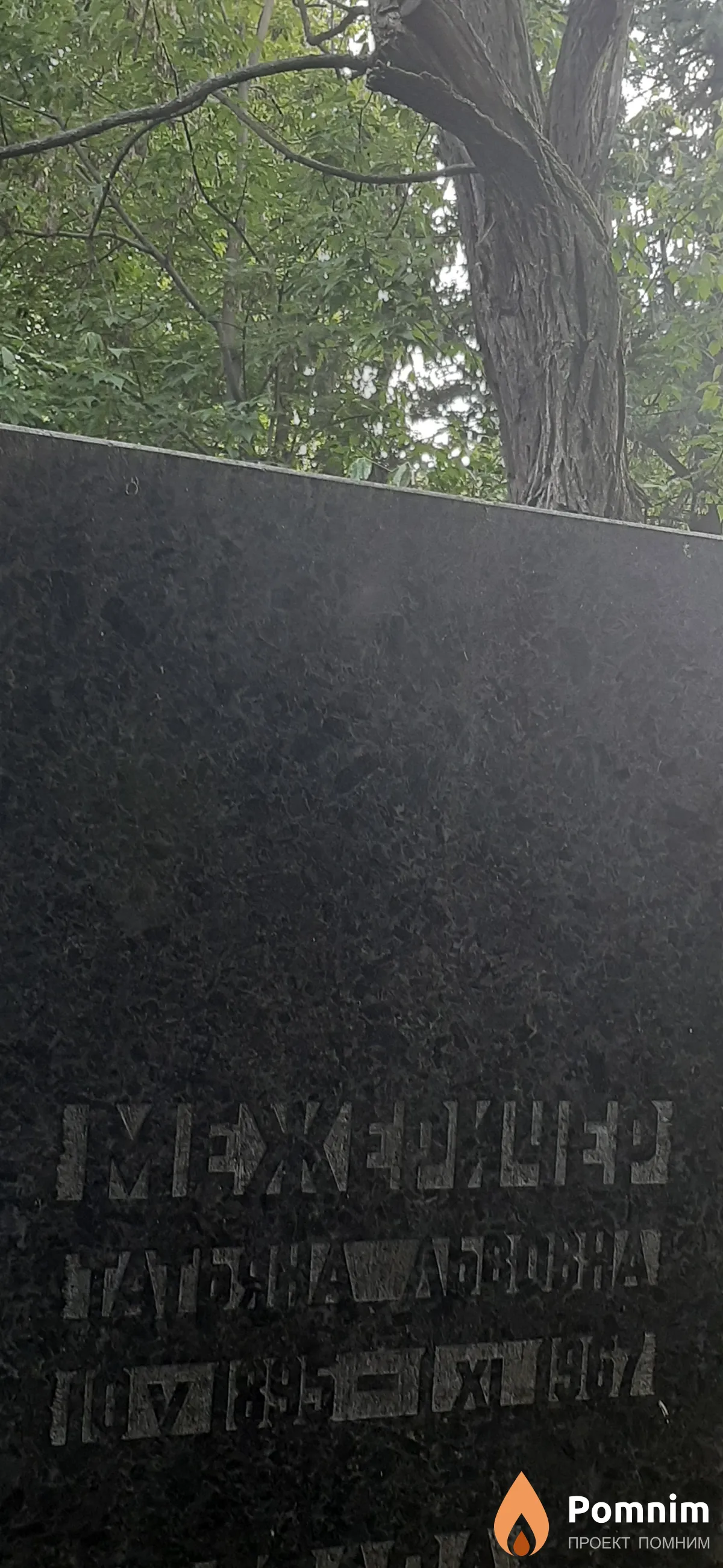 Межеричер Татьяна Львовна