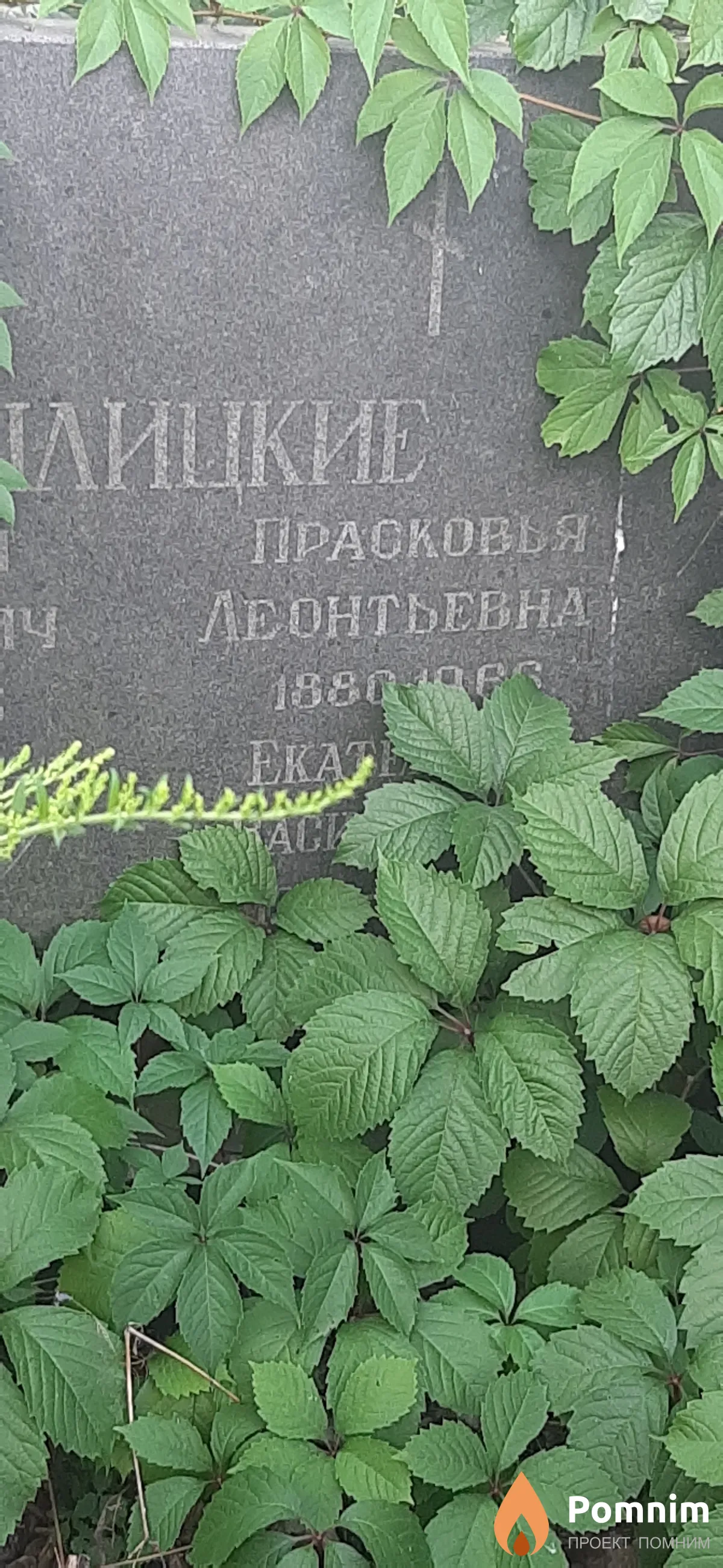 Теплицкая Прасковья Леонтьевна