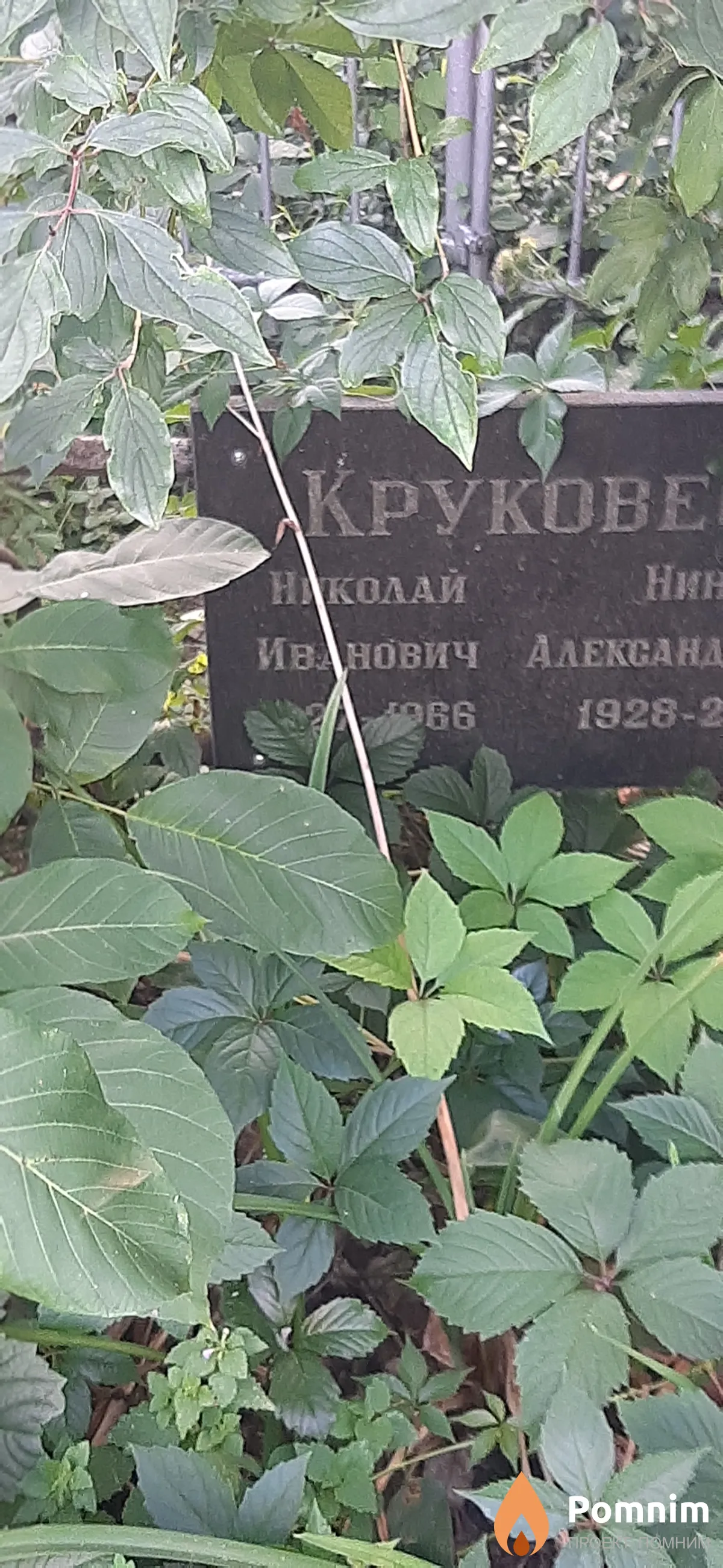 Крукове Николай Александ