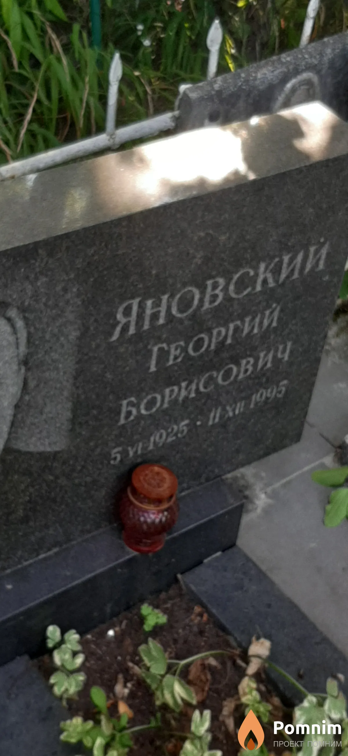 Яновский Георгий Борисович