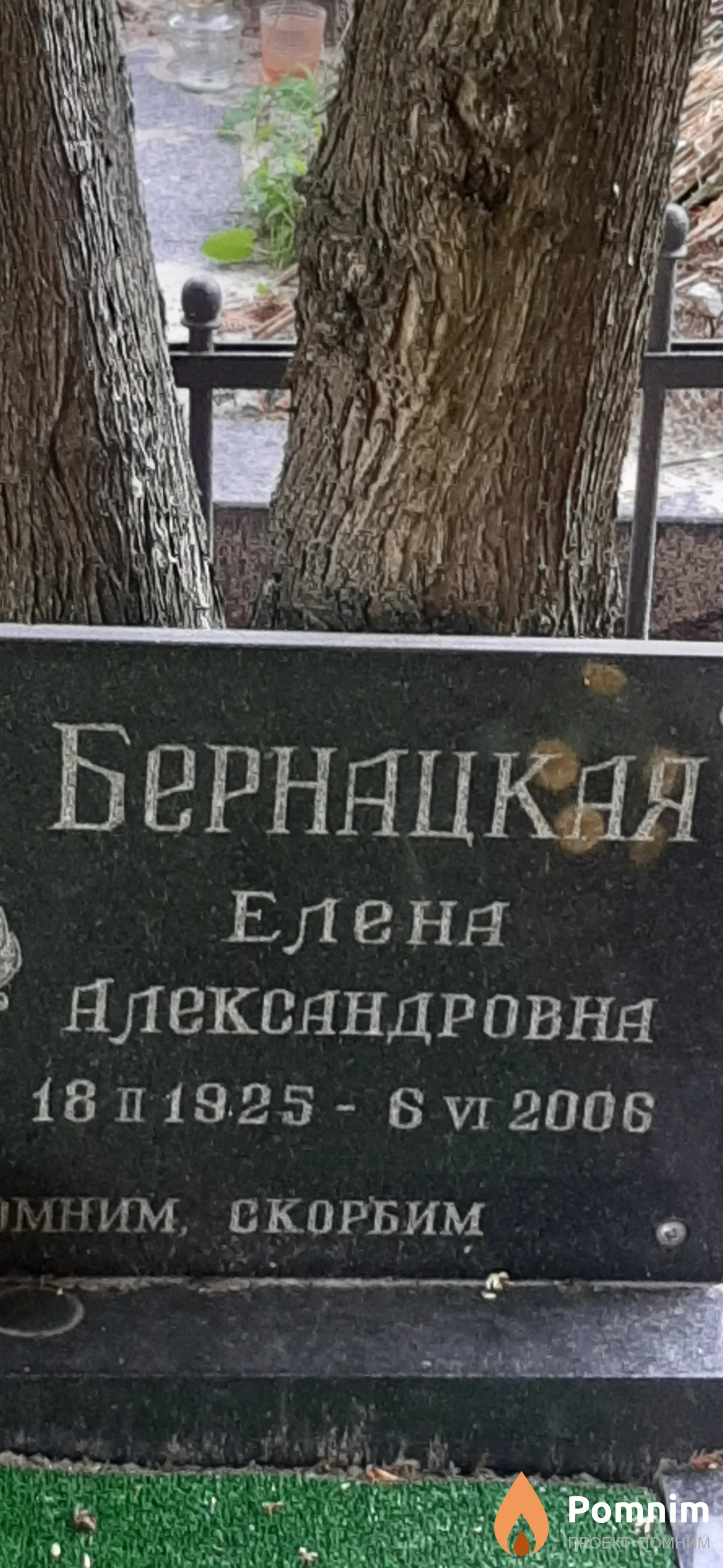 Бернацкая Елена Александровна