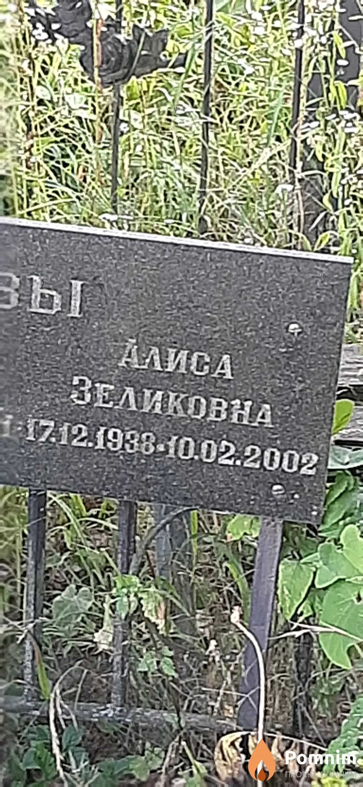 Славенцова Алиса Зеликовна