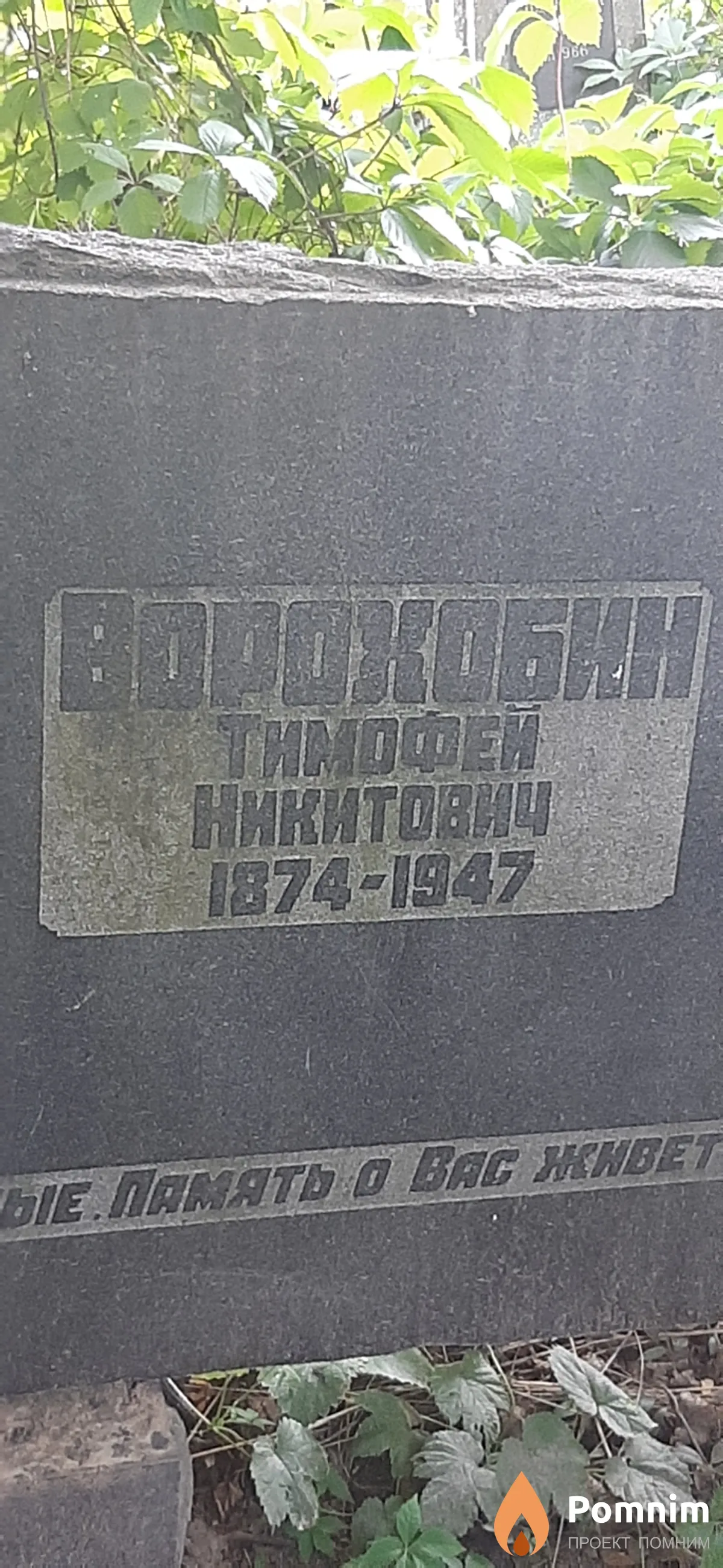 Ворохобин Тимофей Никитович