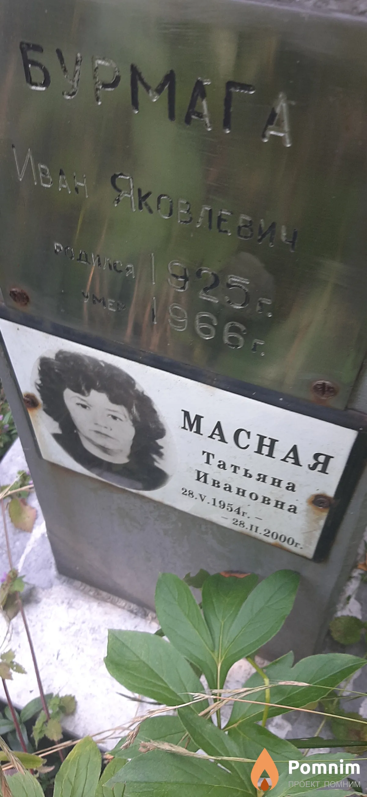 Масная Татьяна Ивановна
