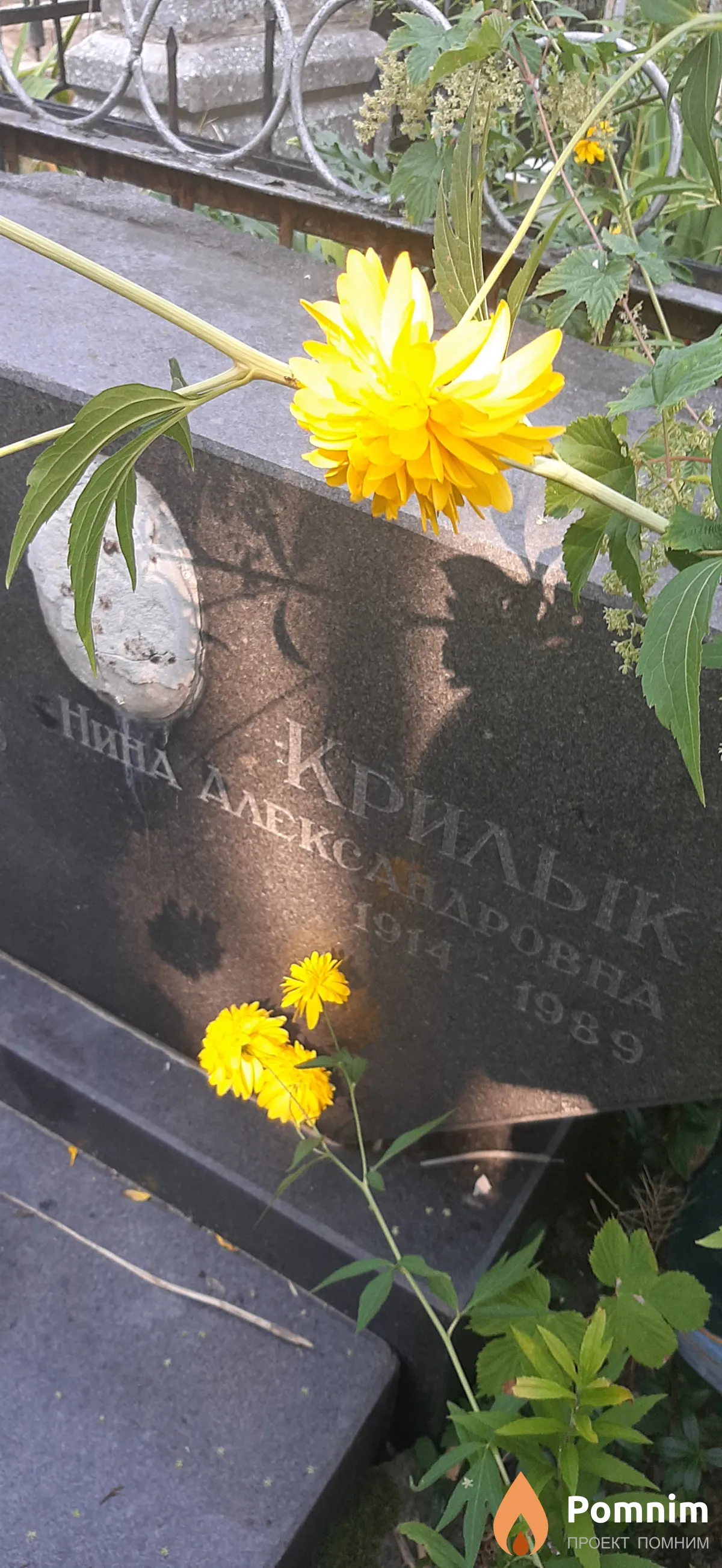 Крилык Нина Александровна