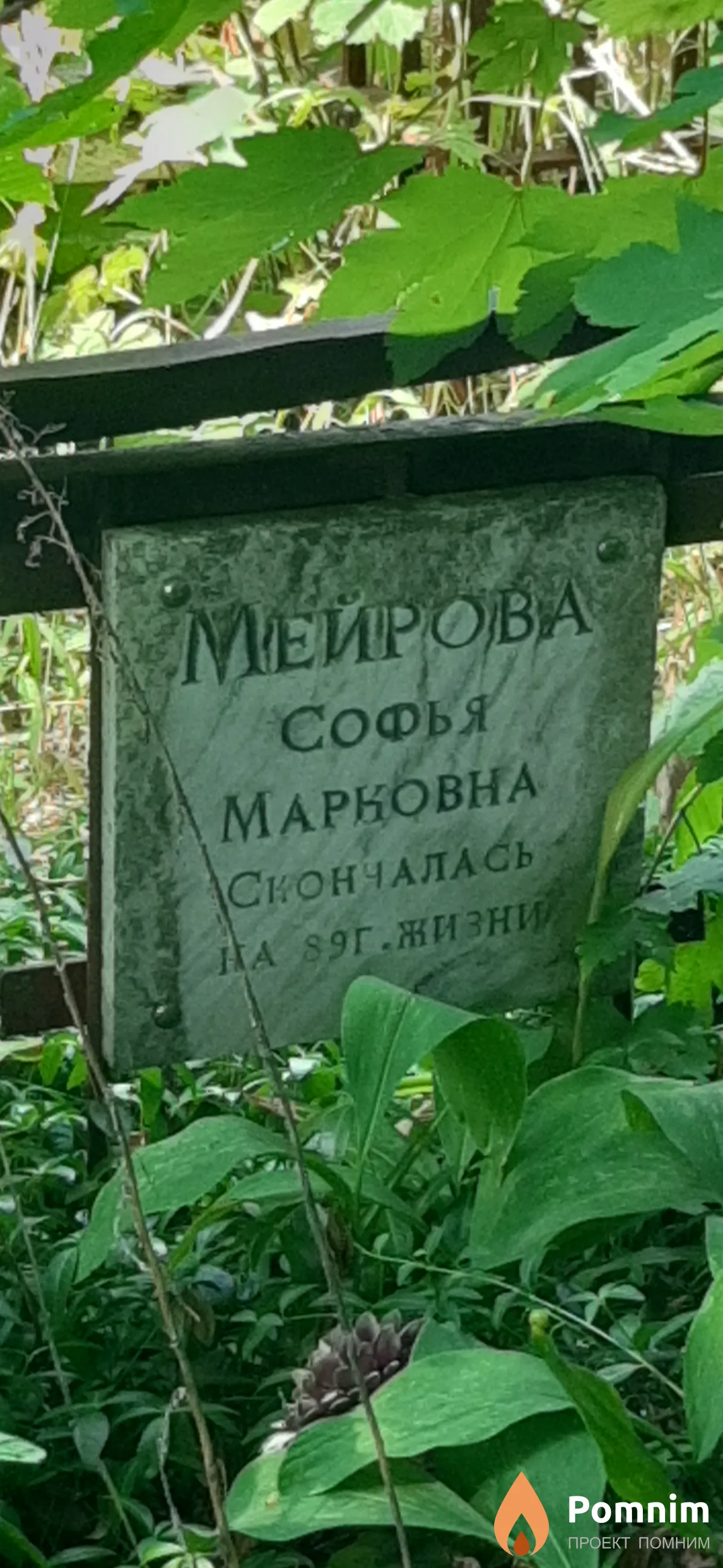 Мейрова Софья Марковна