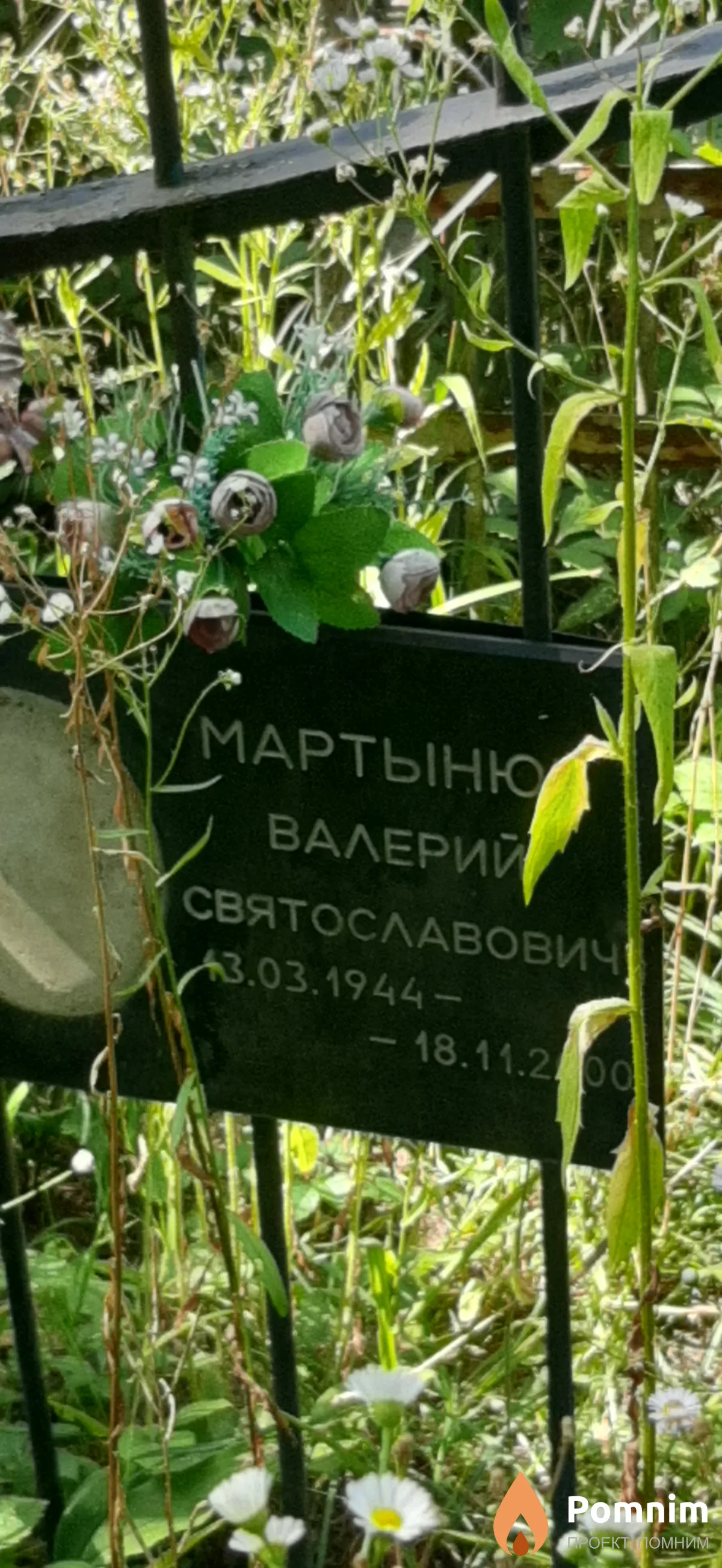 Мартынюк Валерий Святославич
