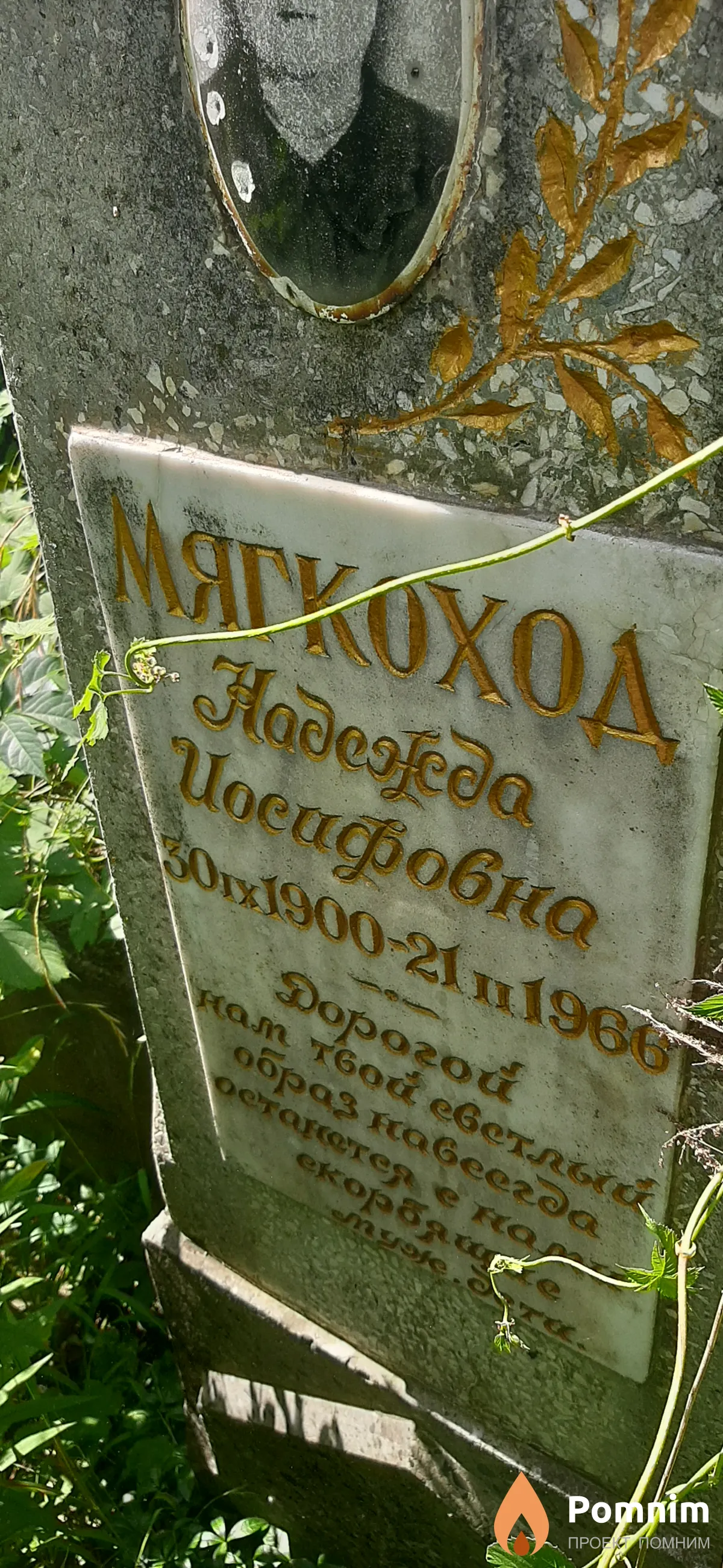 Мягкоход Надежда Иосифовна