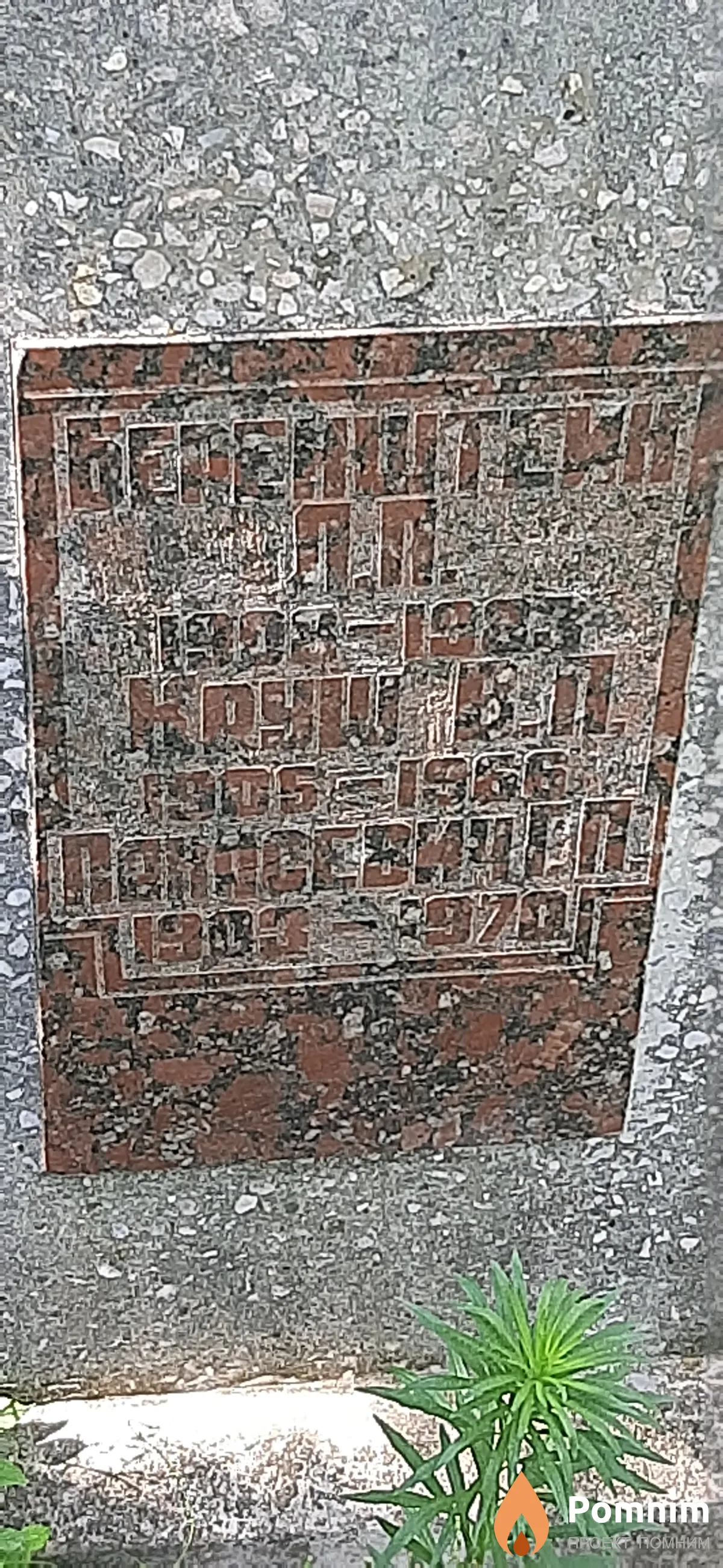 Понасевич Г. П.