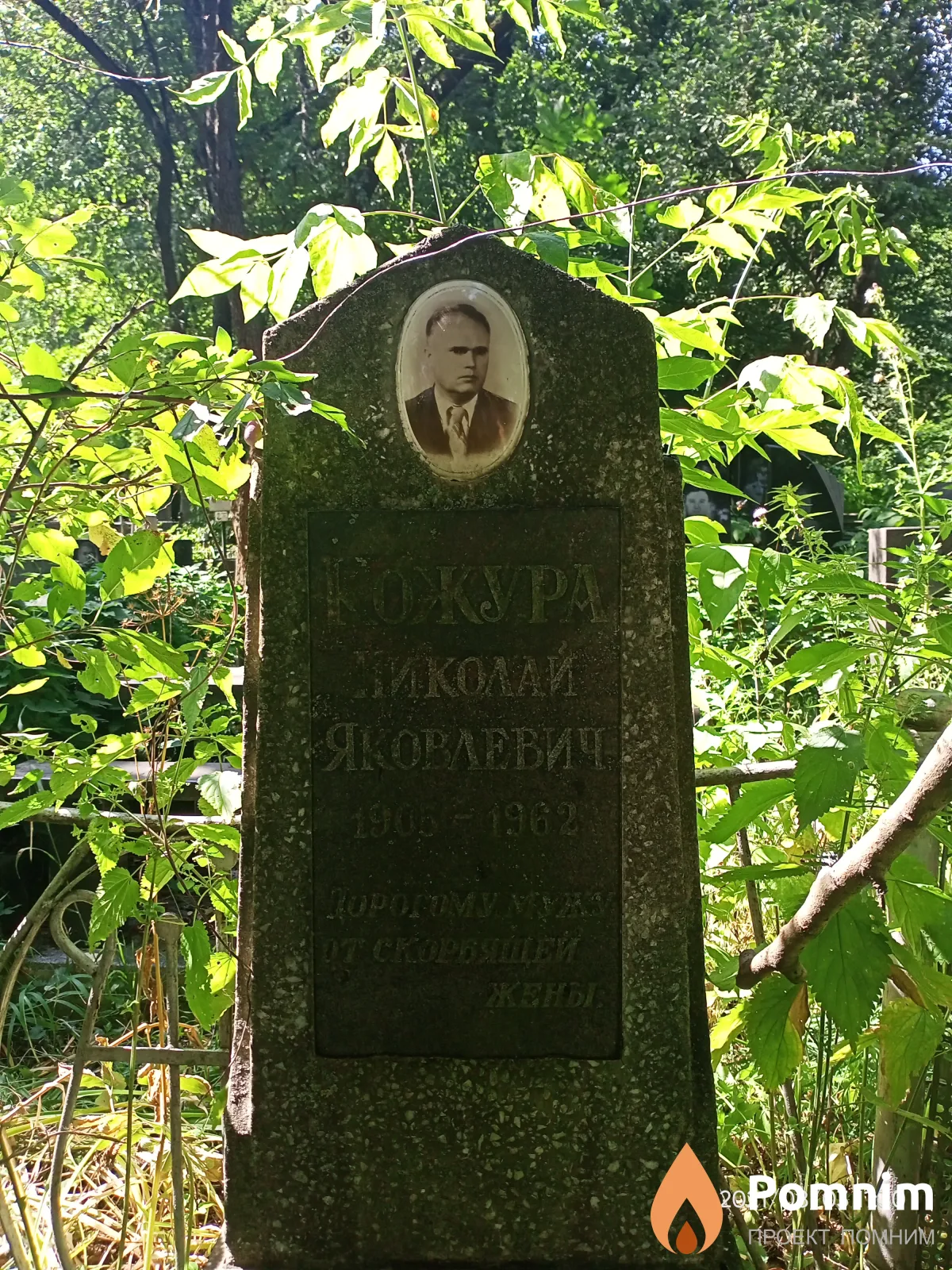 Кожура Николай Яковлевич