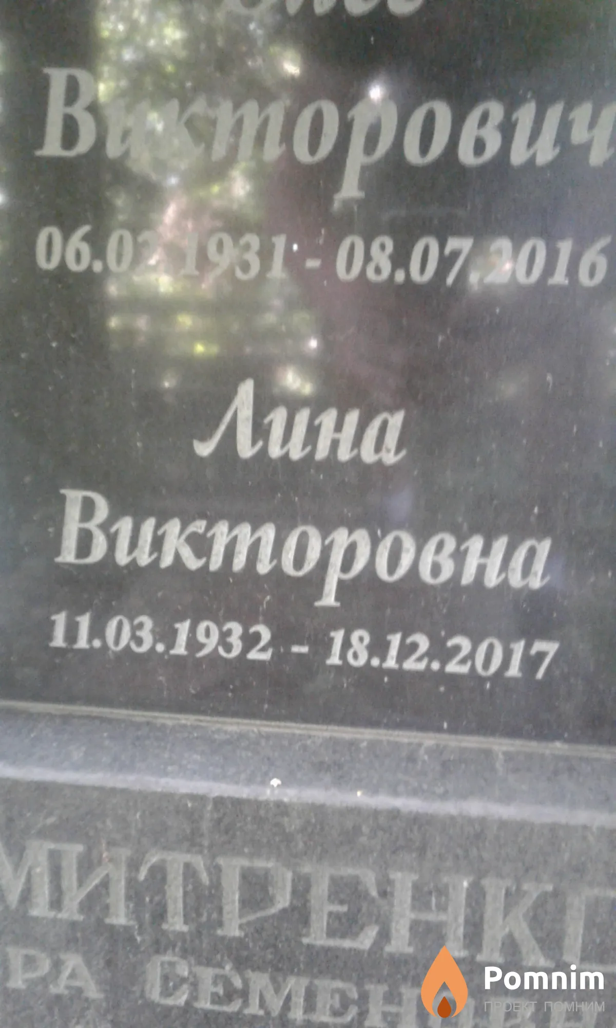 Дмитриенко Лина Викторовна