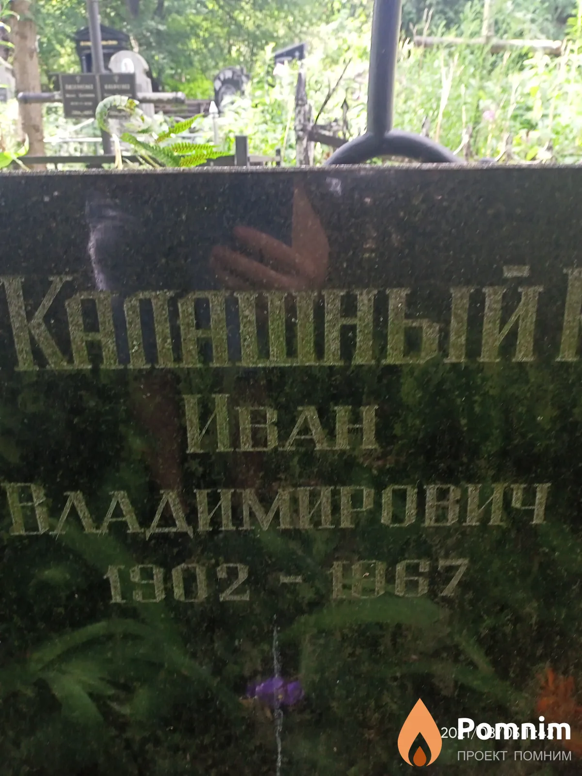 Калашный Иван Владимирович
