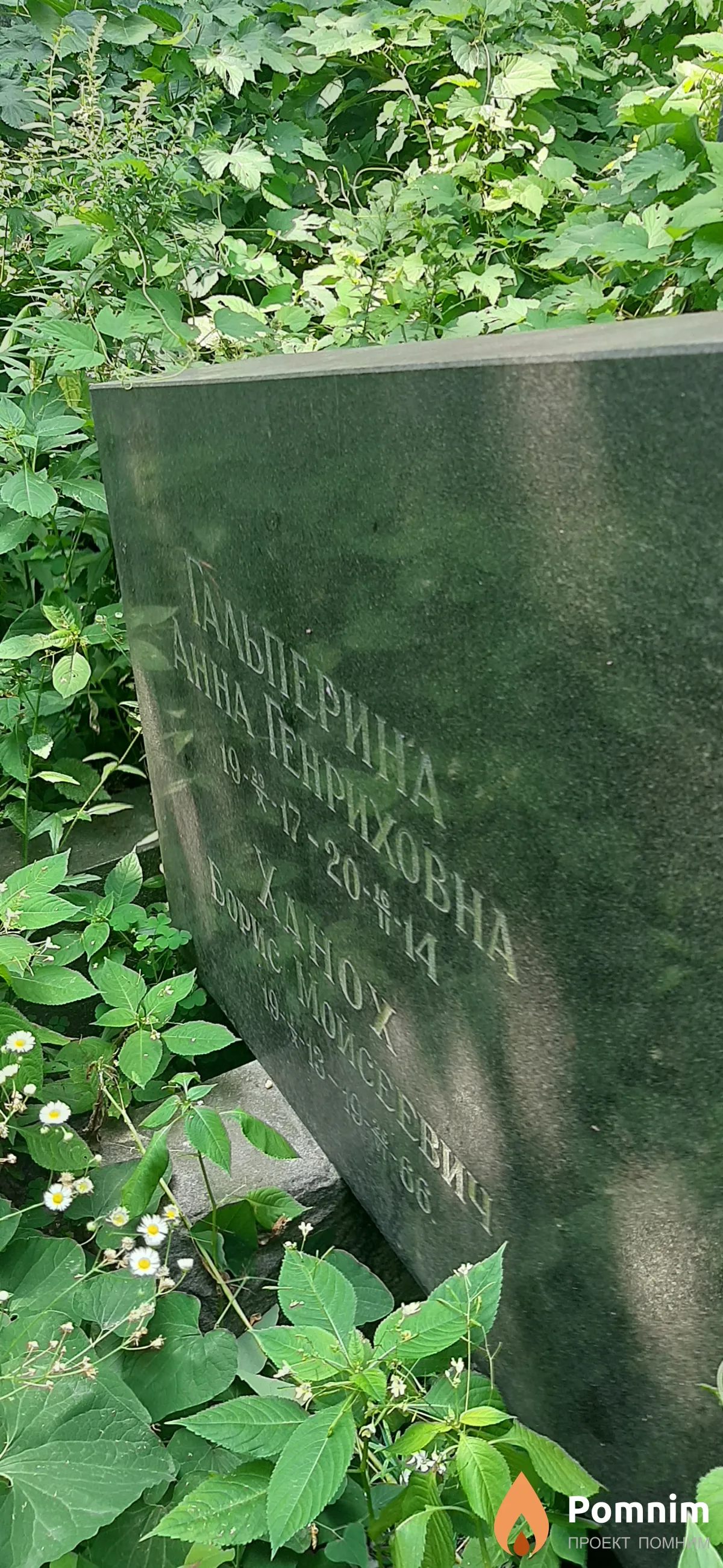 Гальперина Анна Генриховна