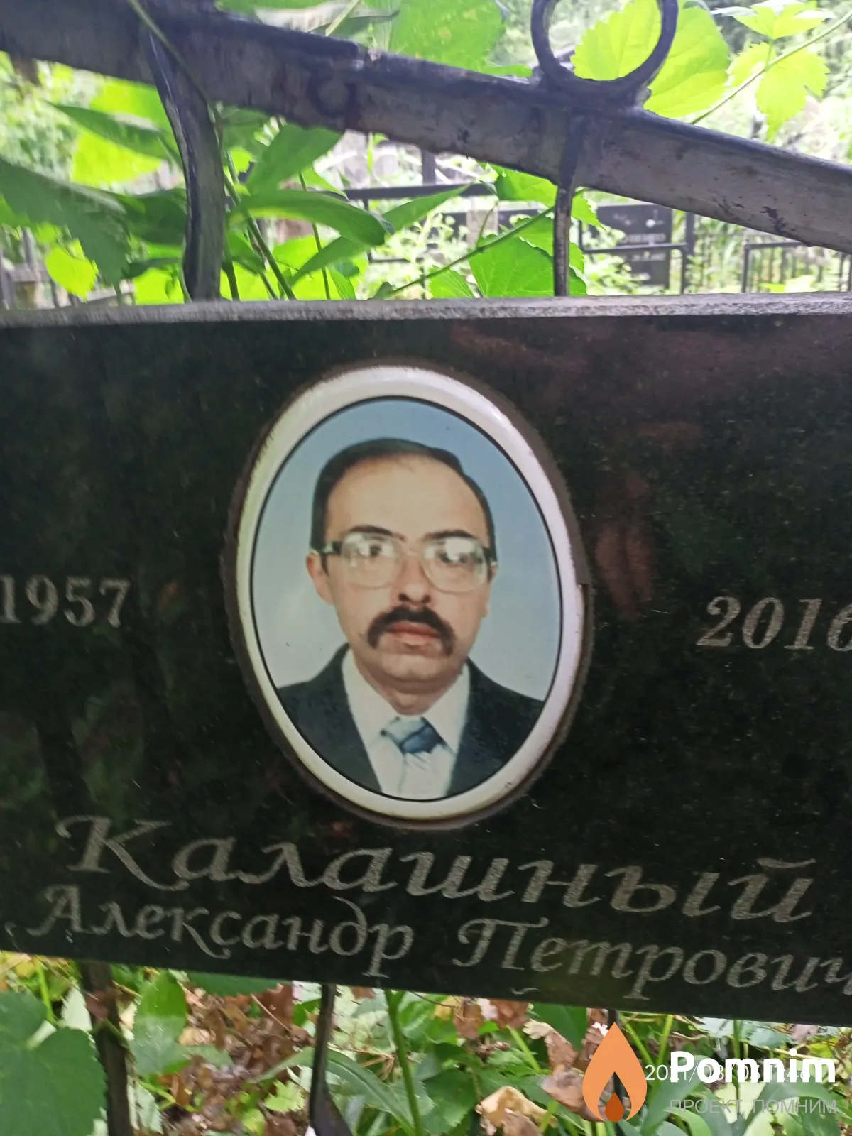 Калашный Александр Петрович