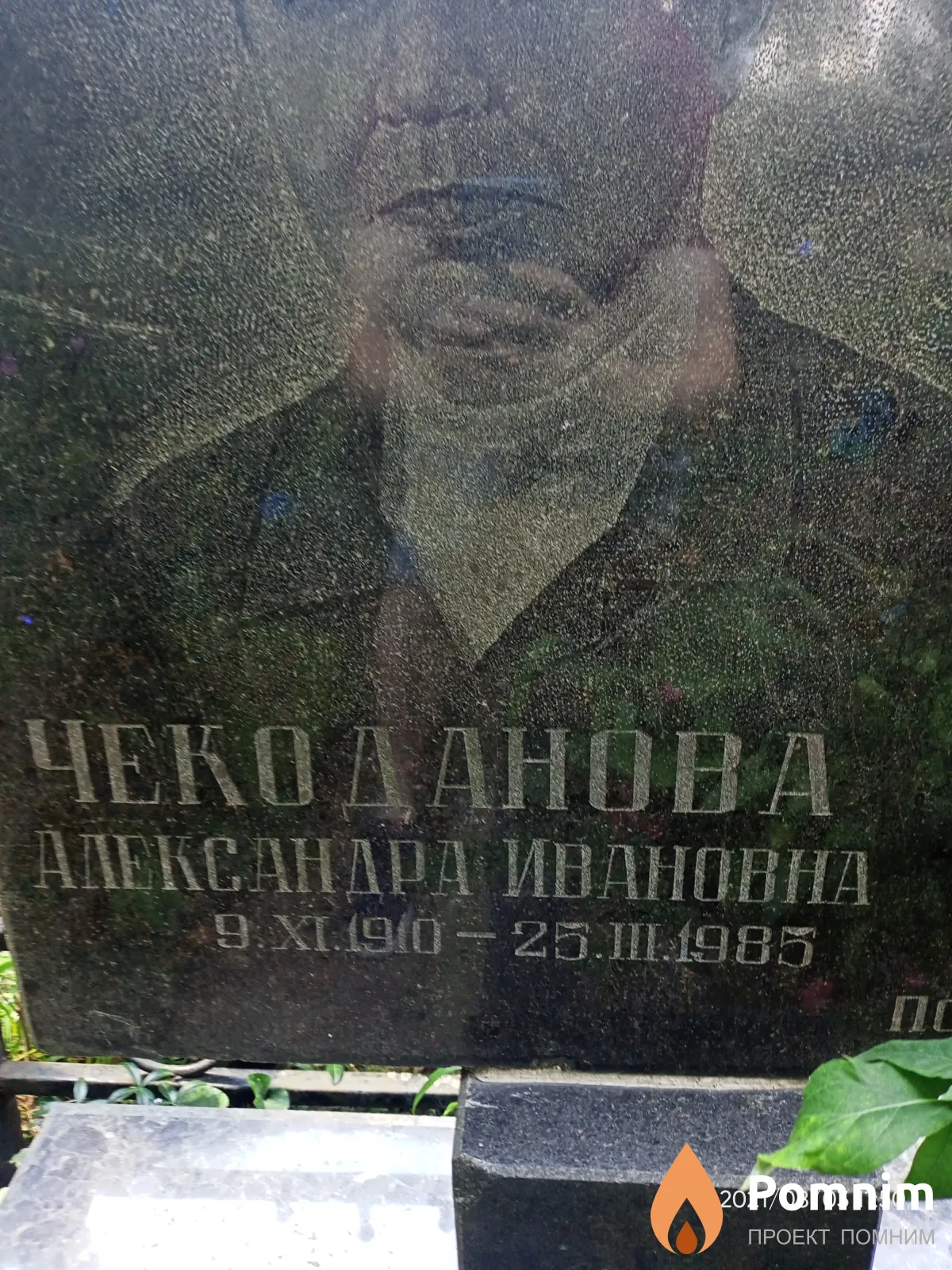 Чекоданова Александра Ивановна