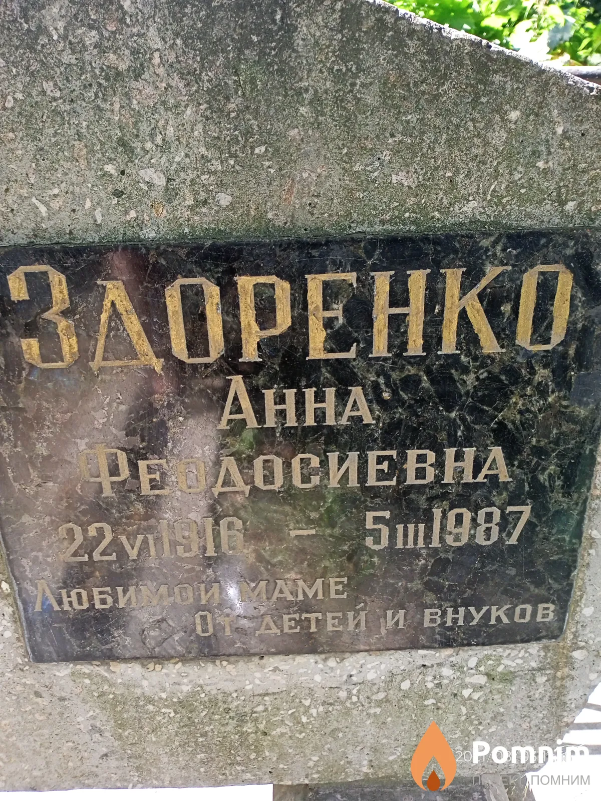 Здоренко Анна Феодосиевна