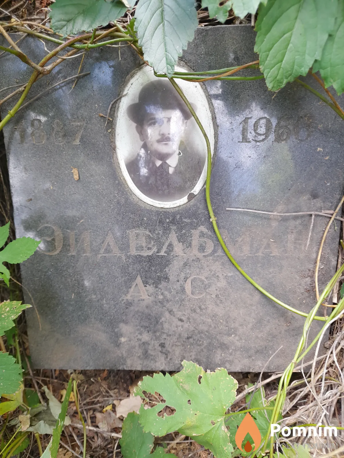 Эйдельман А С