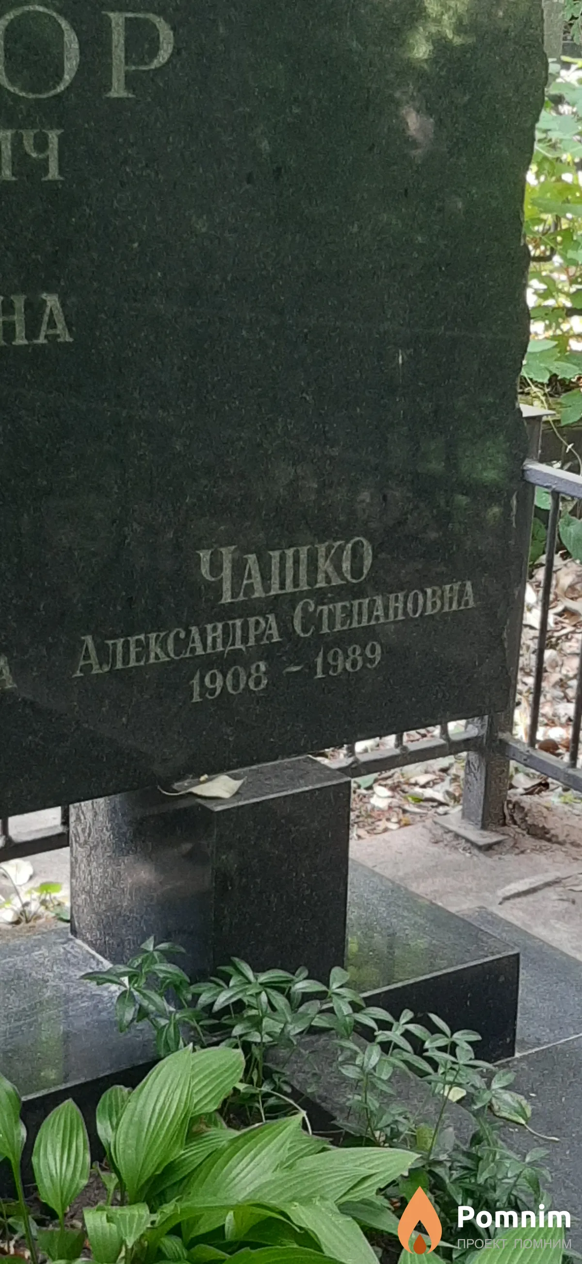Чашко Александра Степановна