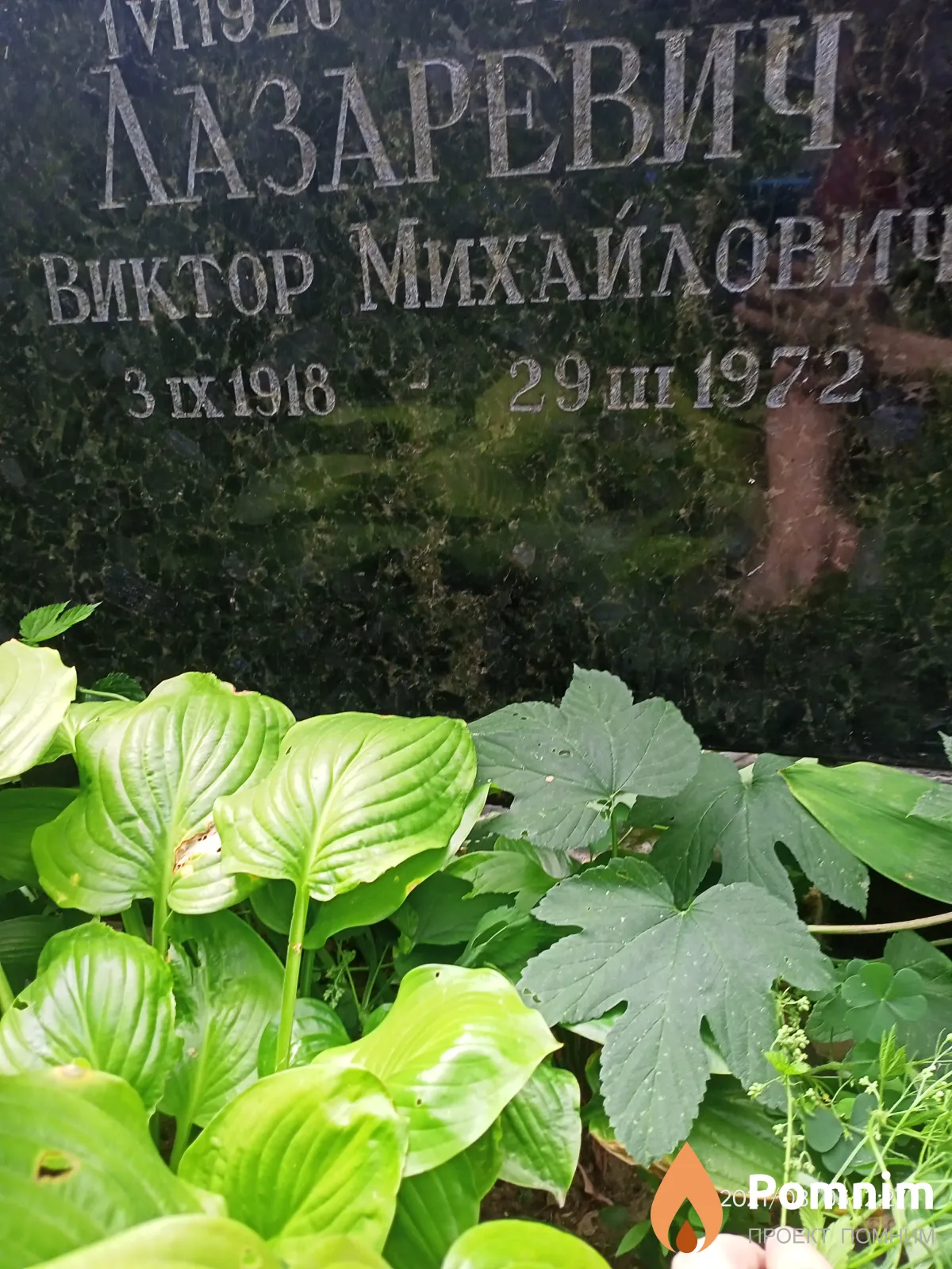 Лазаревич Виктор Михайлович