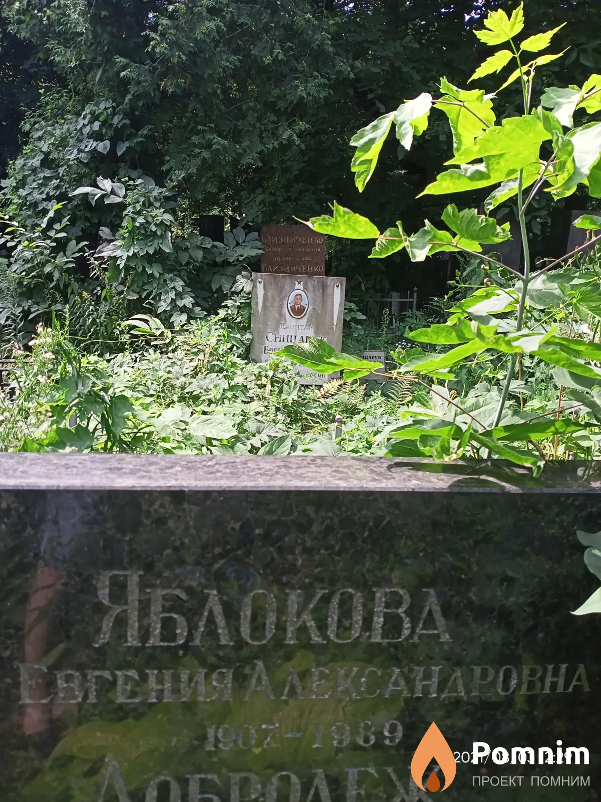Яблокова Вгения Александровна