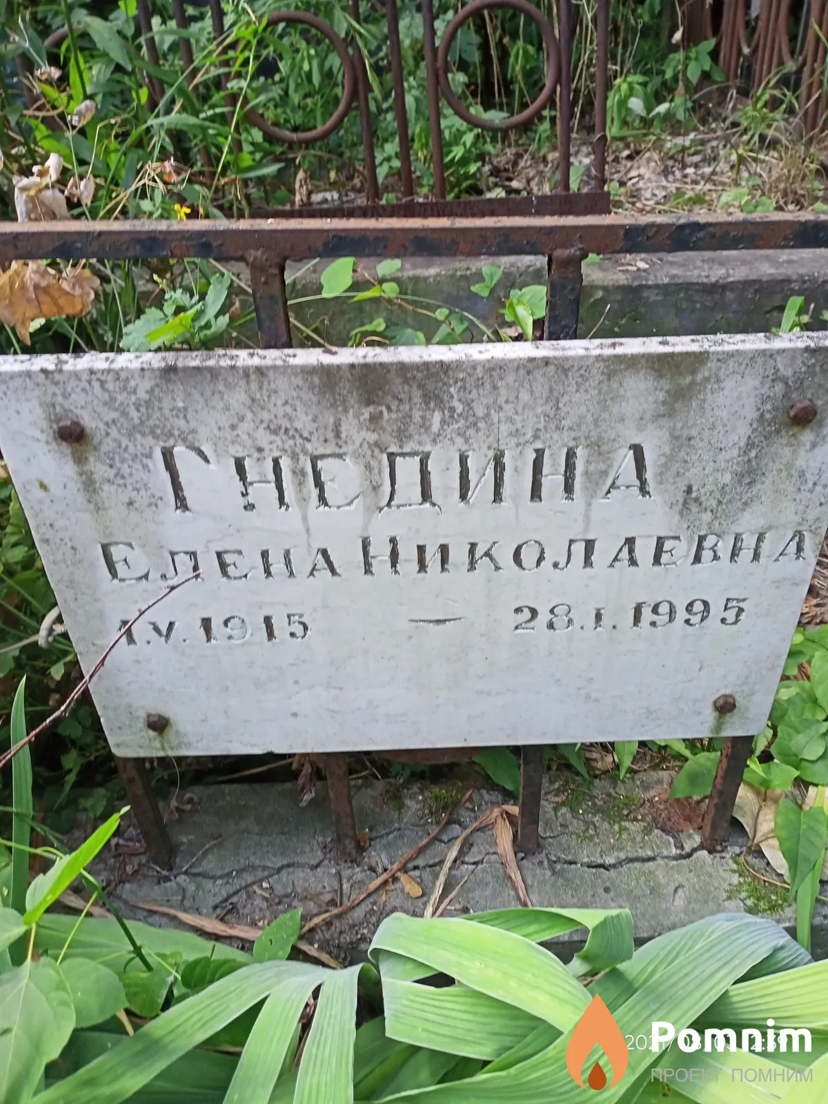 Гнедина Елена Николаевна