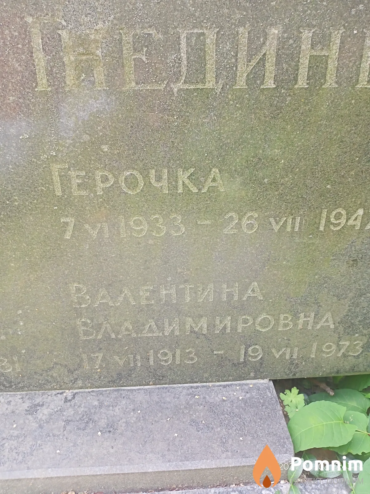 Гнедин Гера