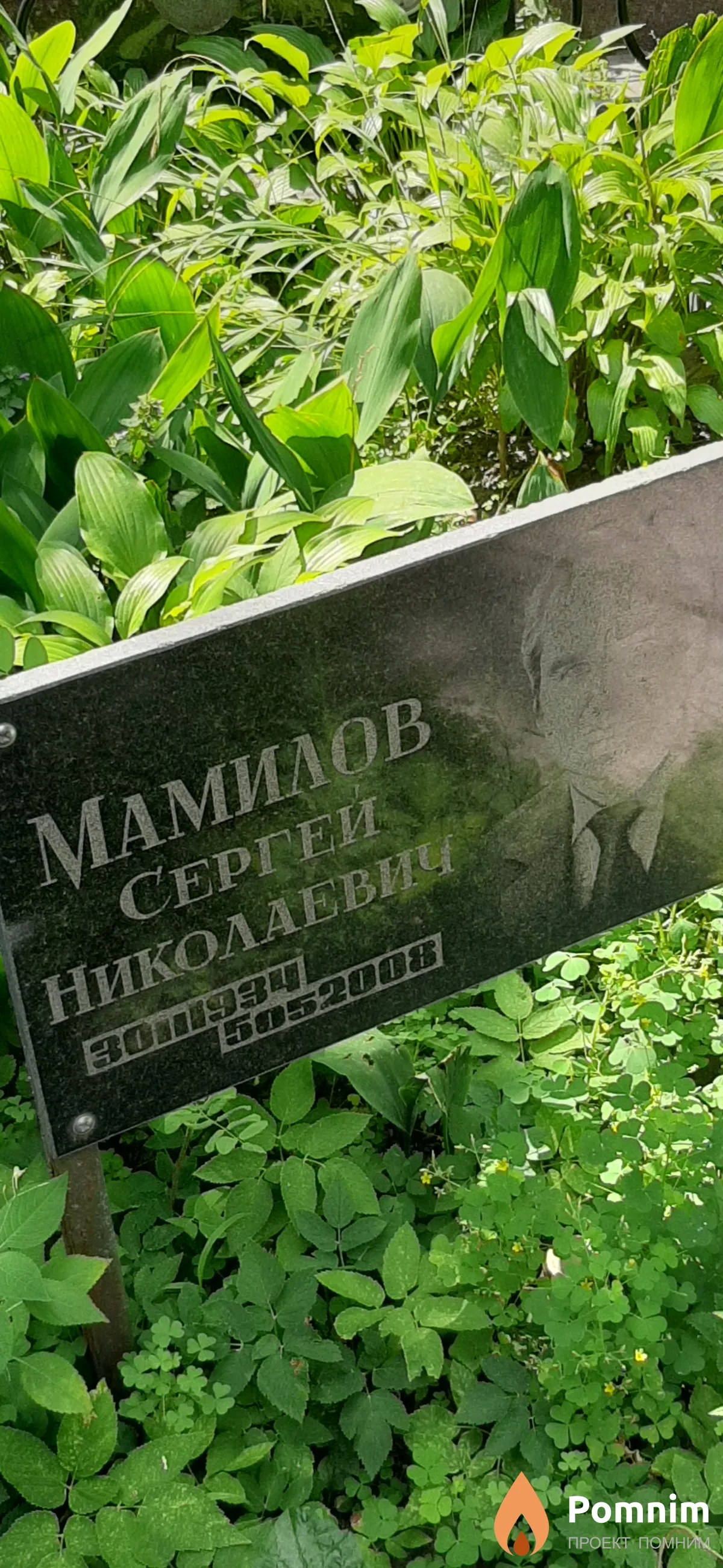 Мамилов Сергей Николаевич