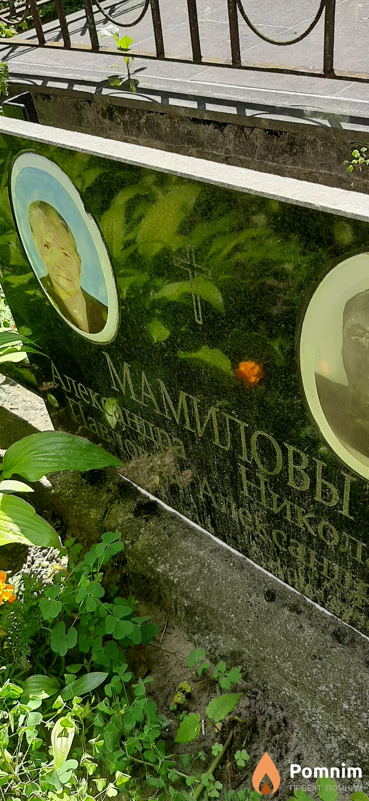 Мамилова Александра Павловна