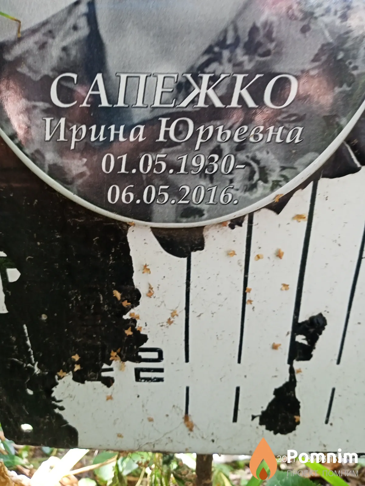 Сапежко Ирина Юрьевна