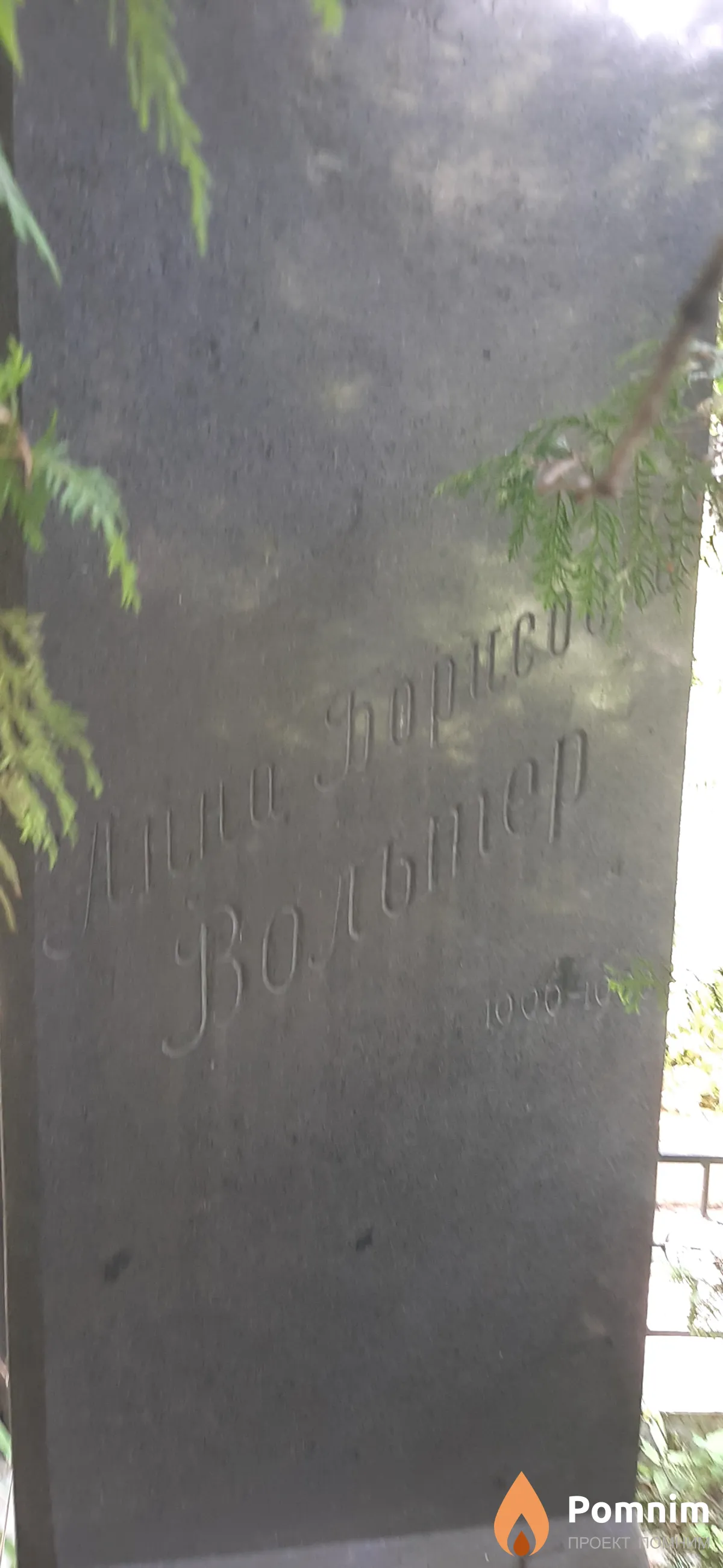Вальтер Анна Борисовна