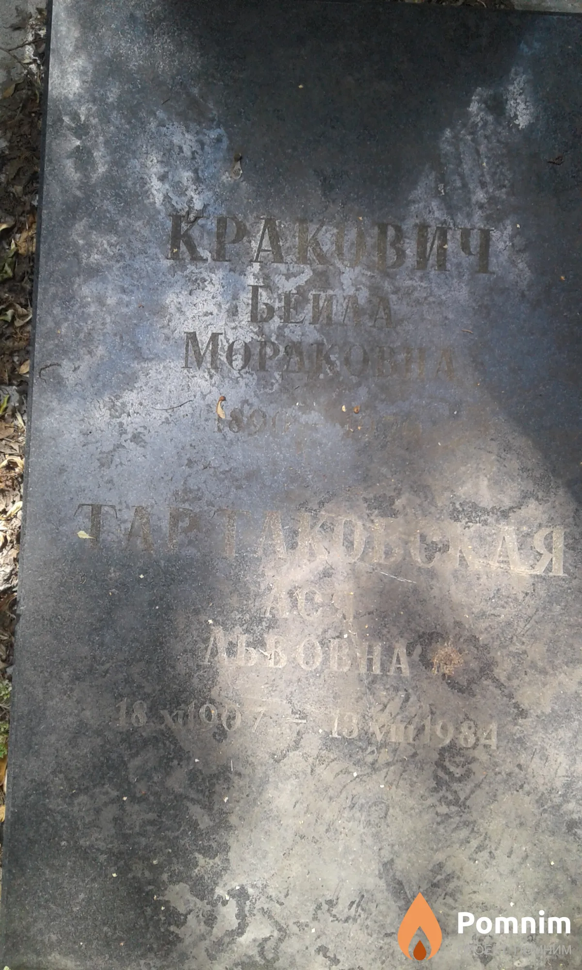 Кракович Бейла Мордковна