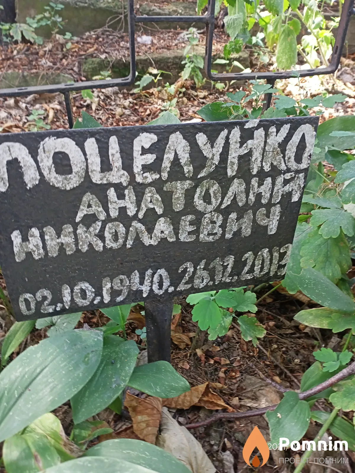 Поцелуико Анатолий Николаевич