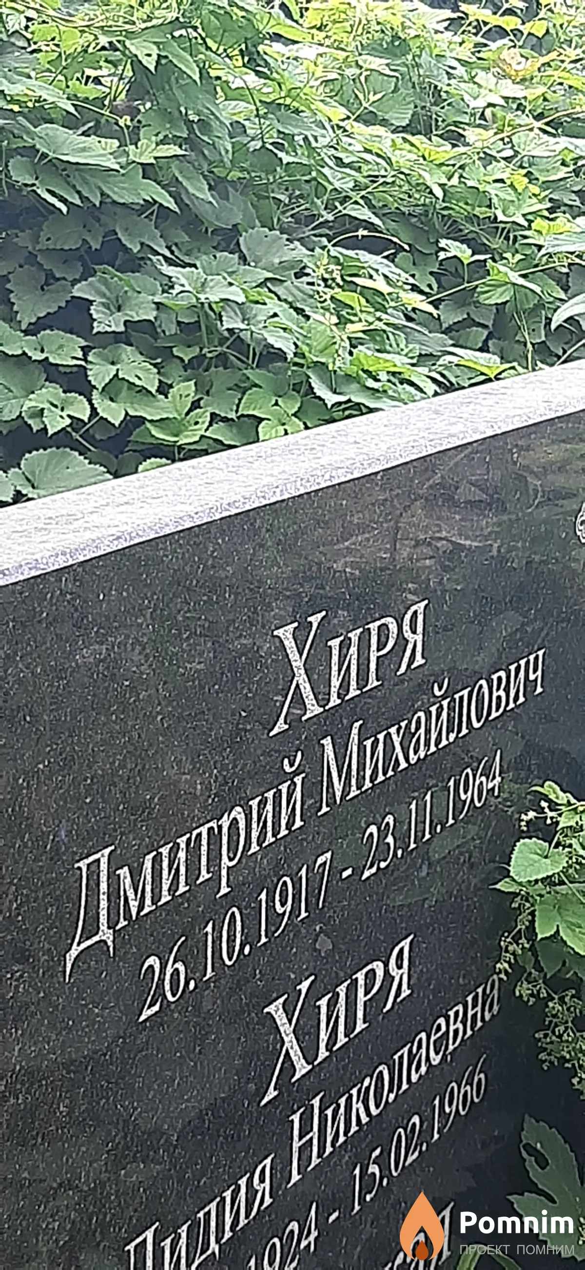 Хиря Дмитрий Михайлович