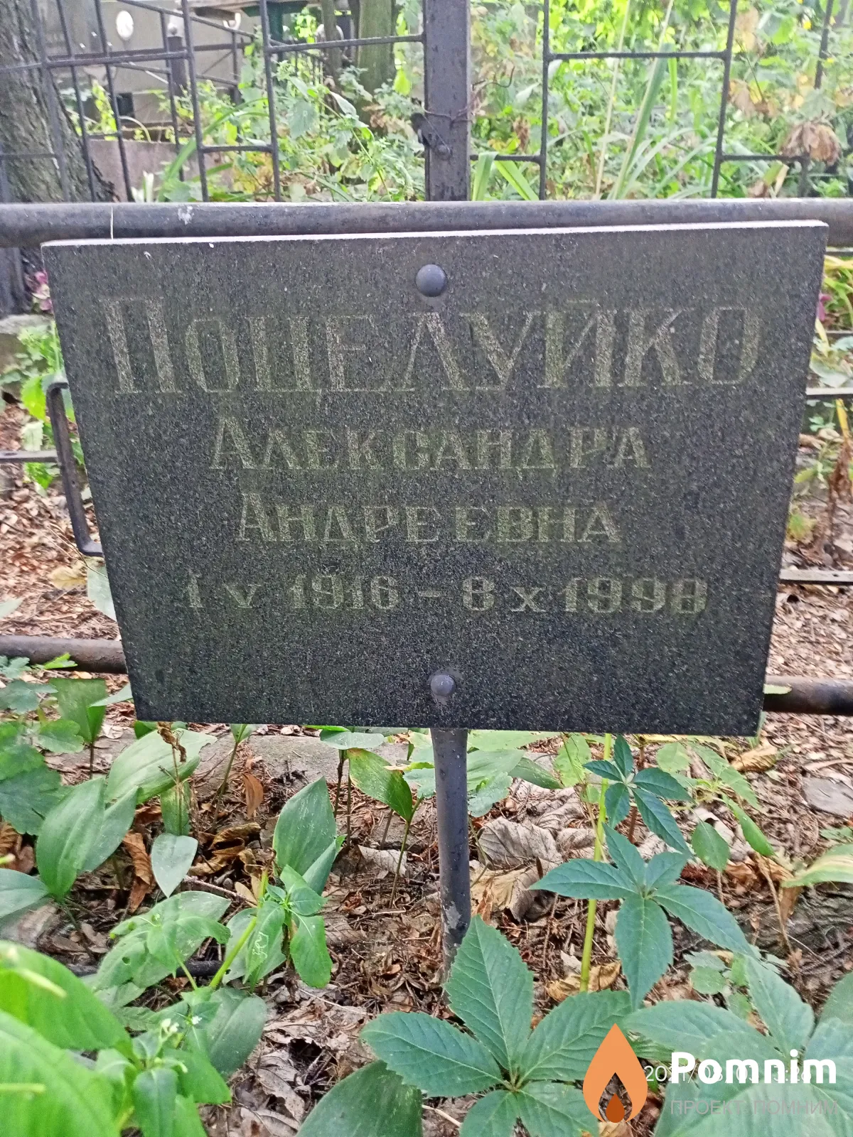 Поцелуико Александра Ивановна