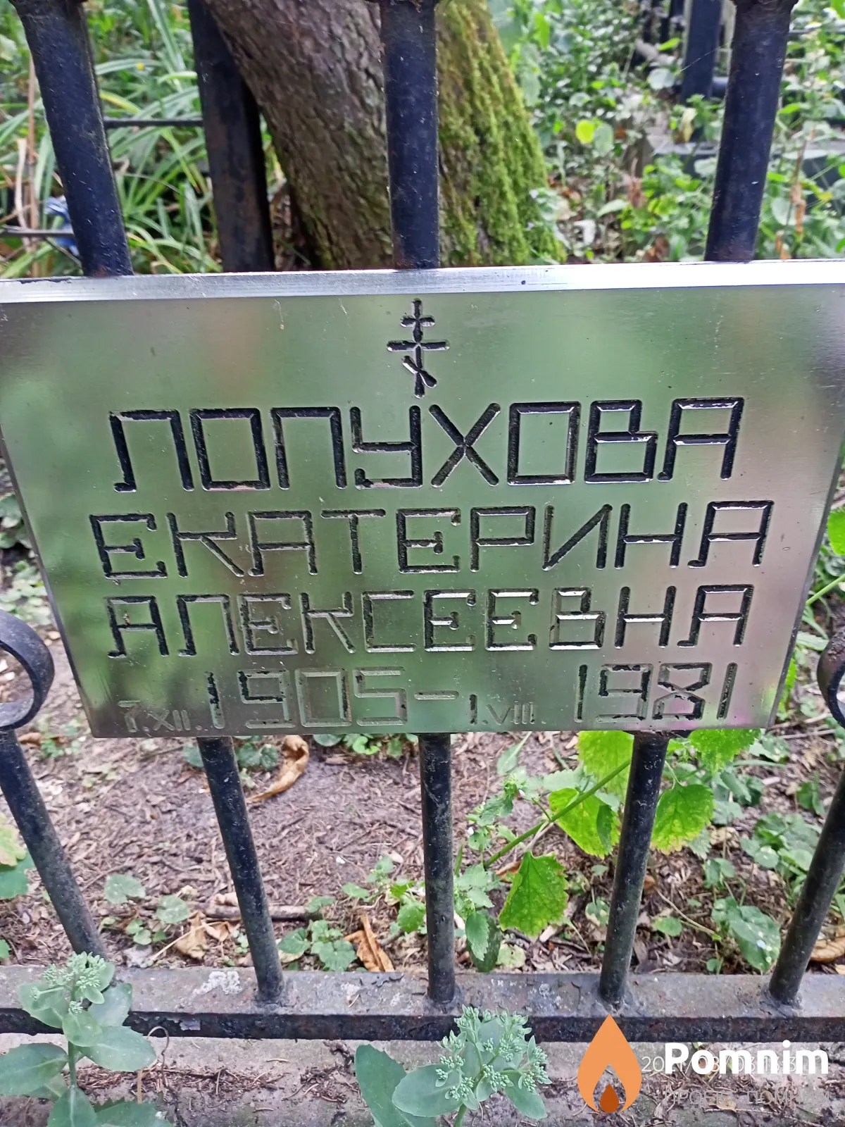 Лопухова Екатерина Алексеевна