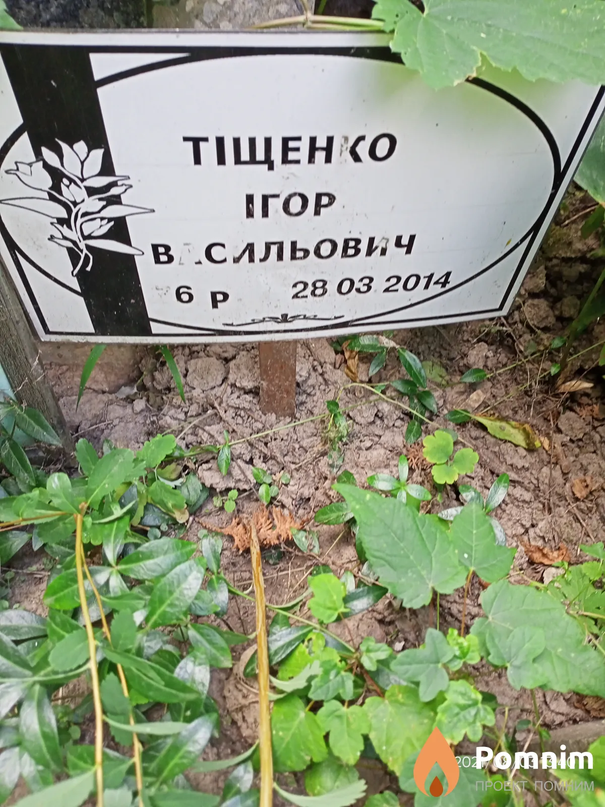 Тіщенко Ігор Васильович