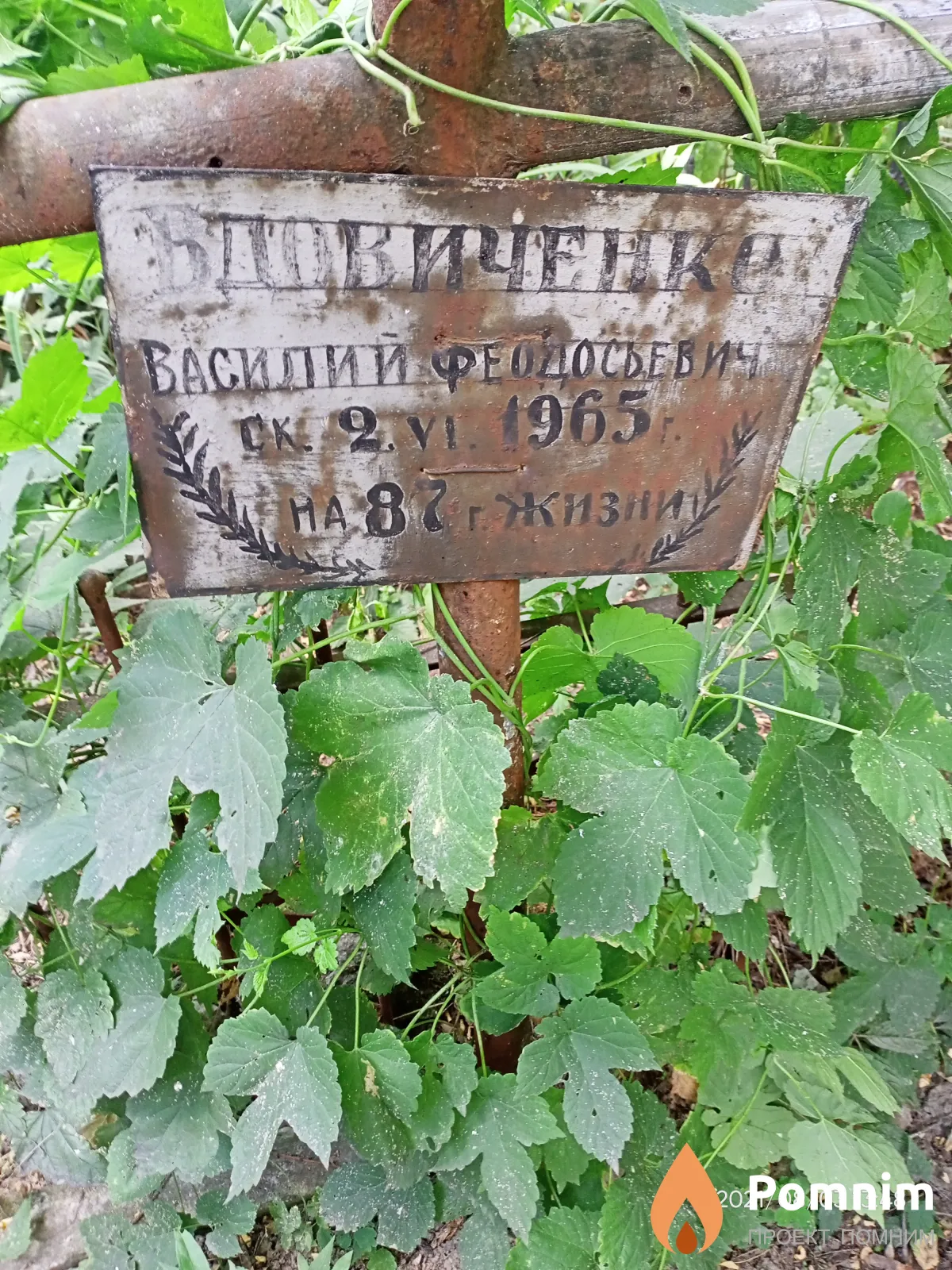 Вдовиченко Василий Феодосьевич