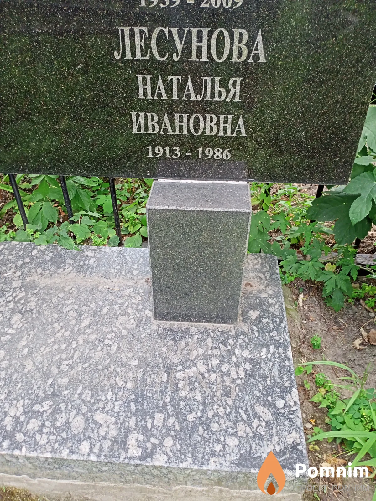 Лесунова Наталья Ивановна