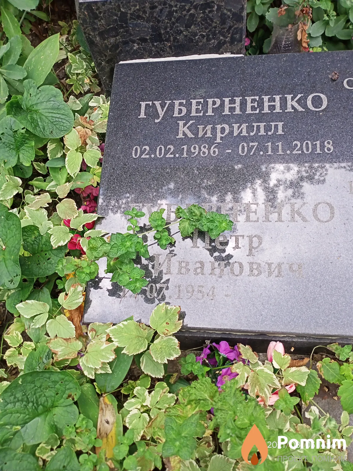 Губерненко Кирилл