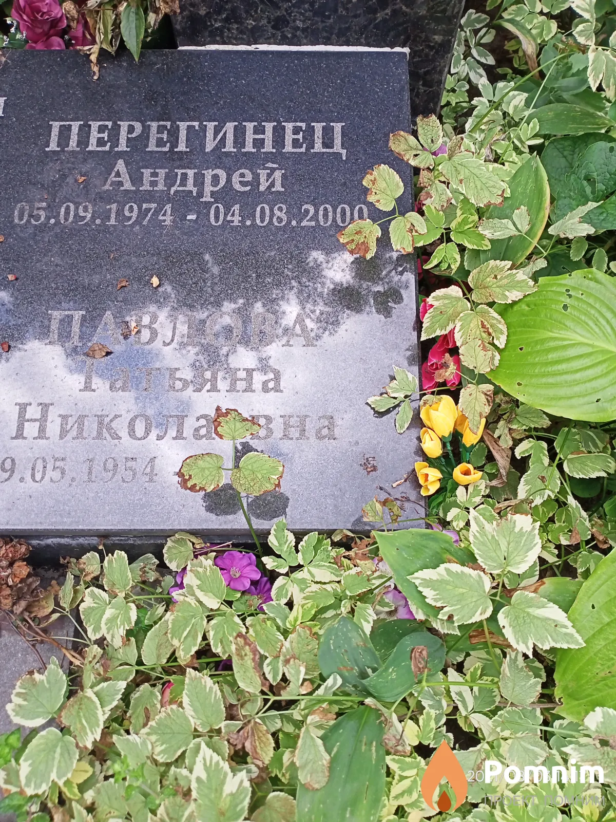 Перегинец Андрей