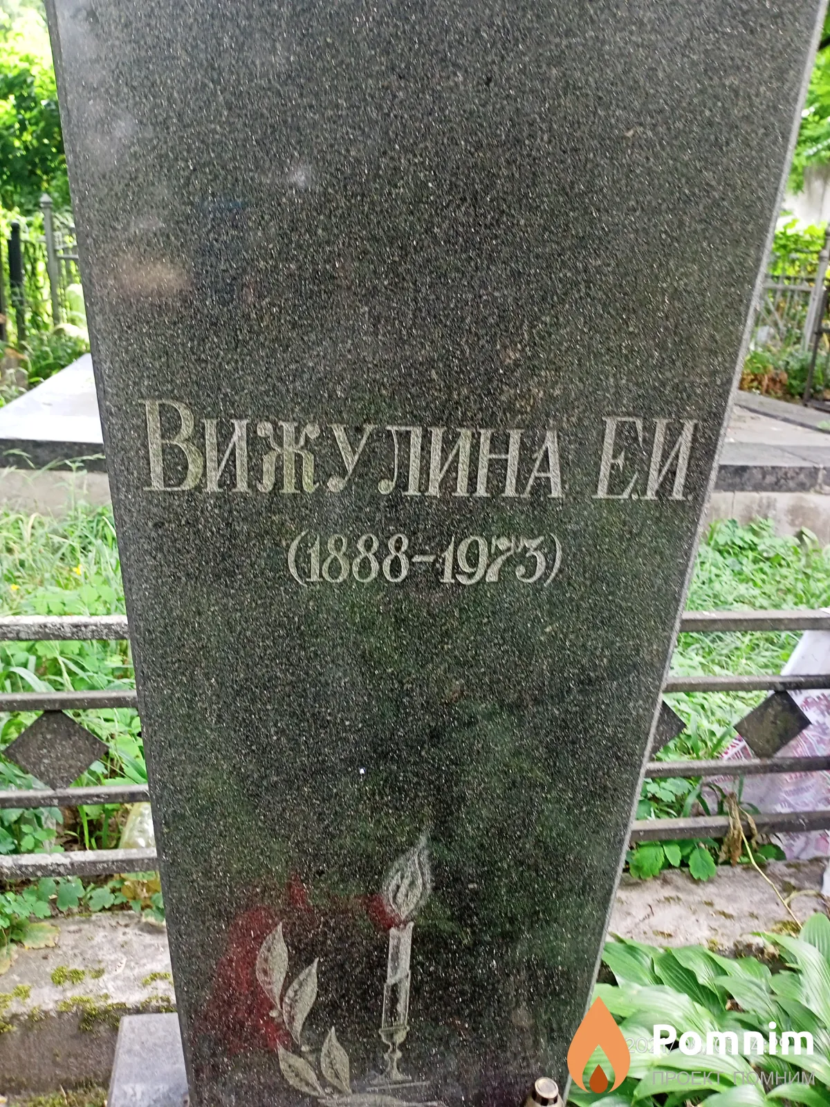 Вижулина Е. И.