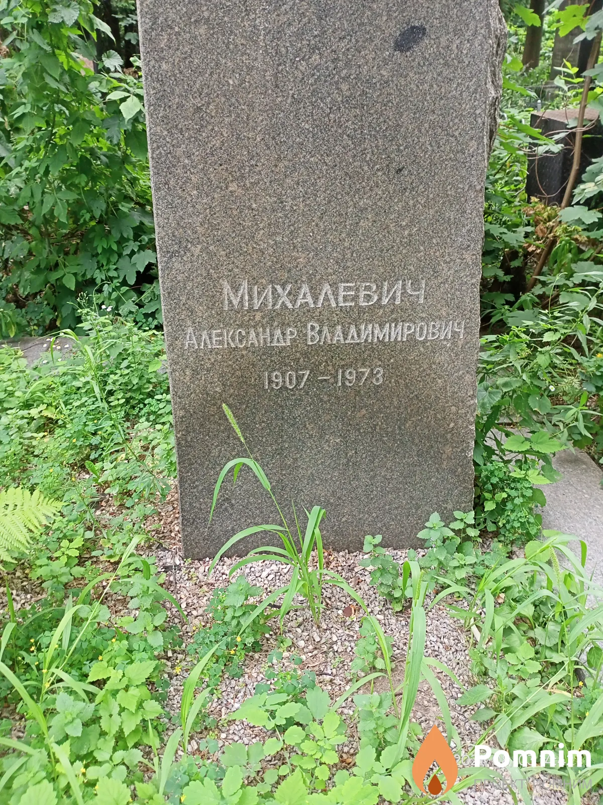 Михалевич Александр Владимирович