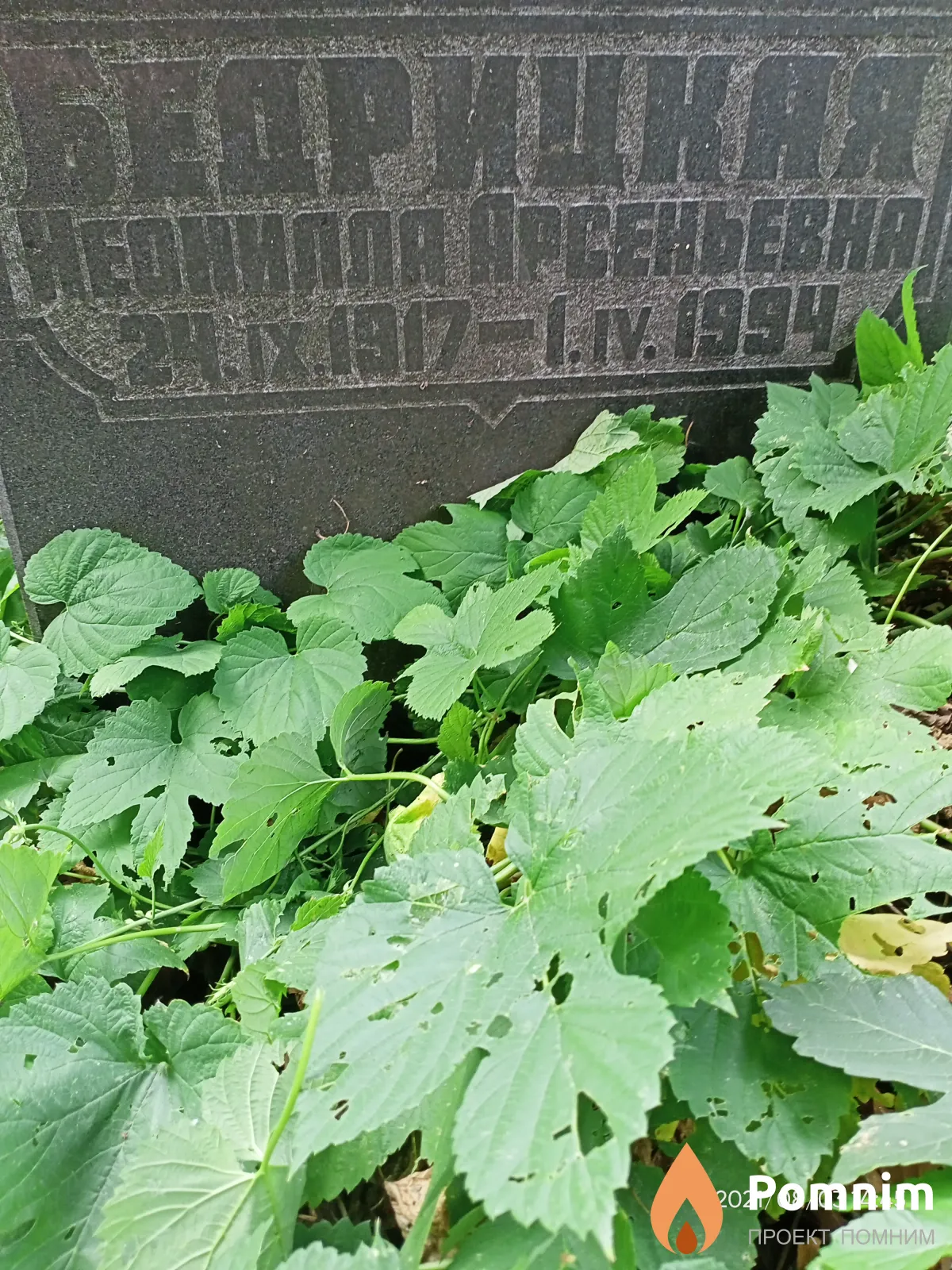 Бедрицкая Неонила Арсеньевна