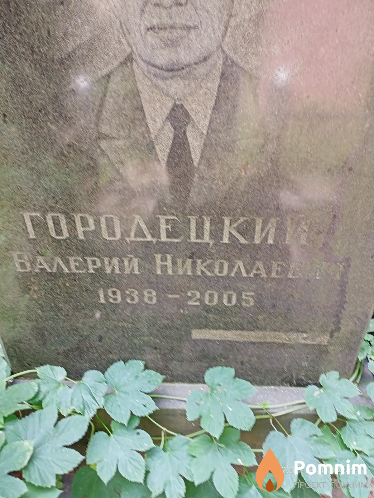 Городецкий Валерий Николаевич