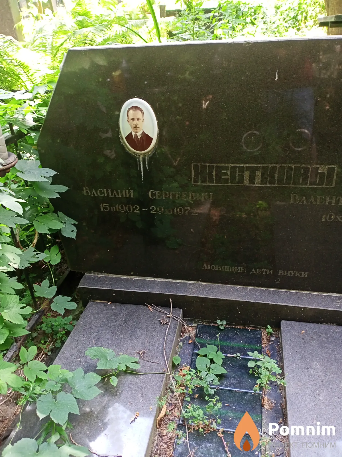 Жестков Василий Сергеевич