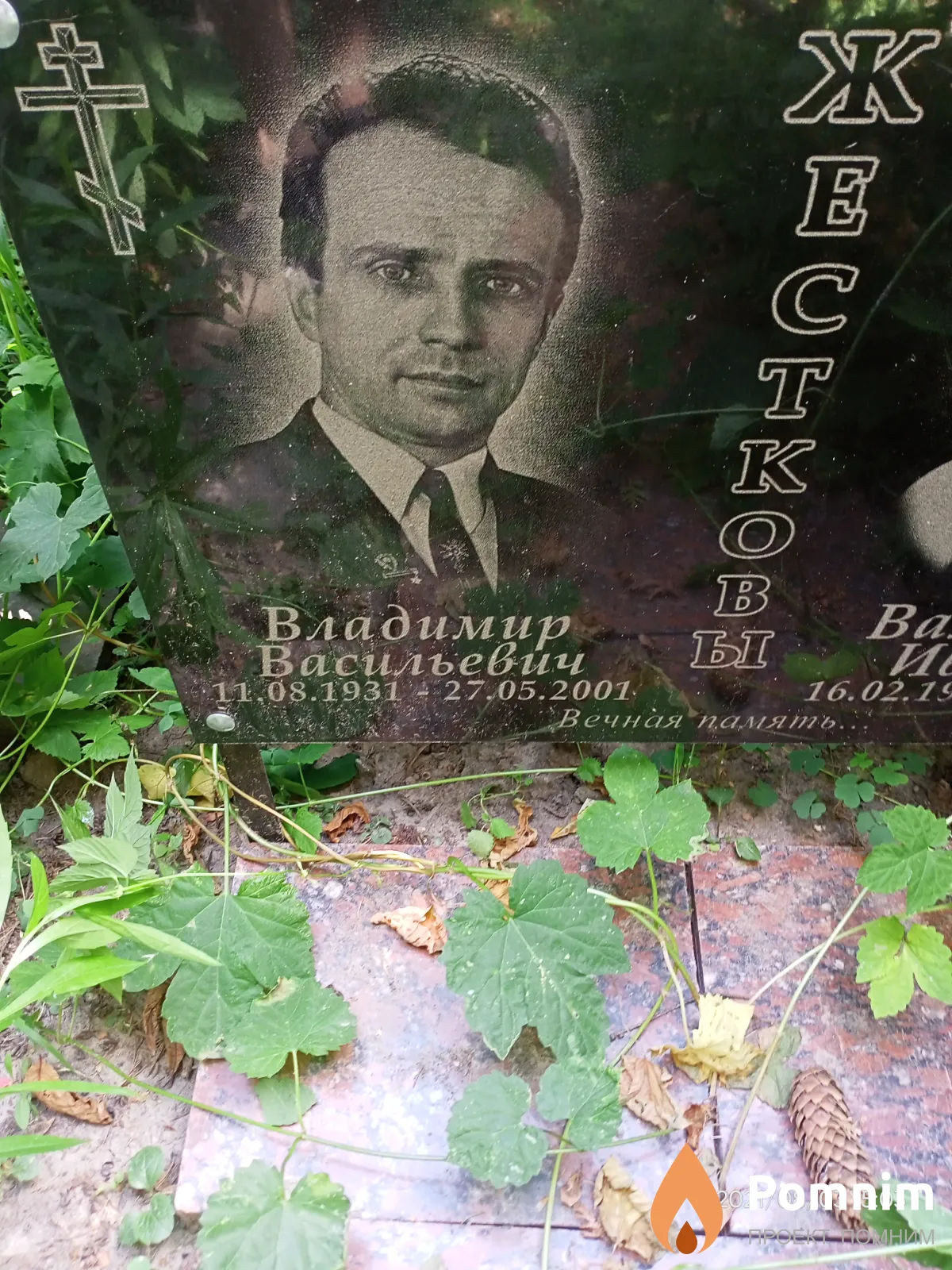 Жестков Владимир Васильевич
