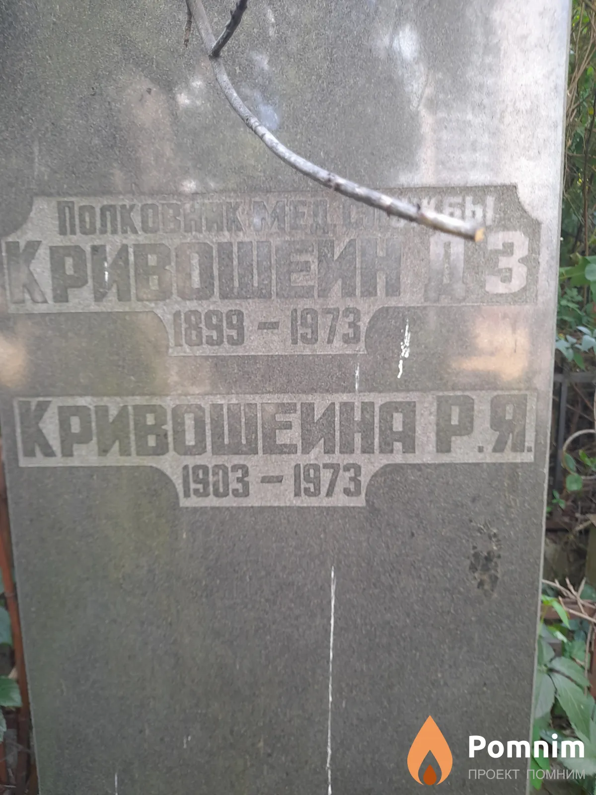 Кривошеин Д. З