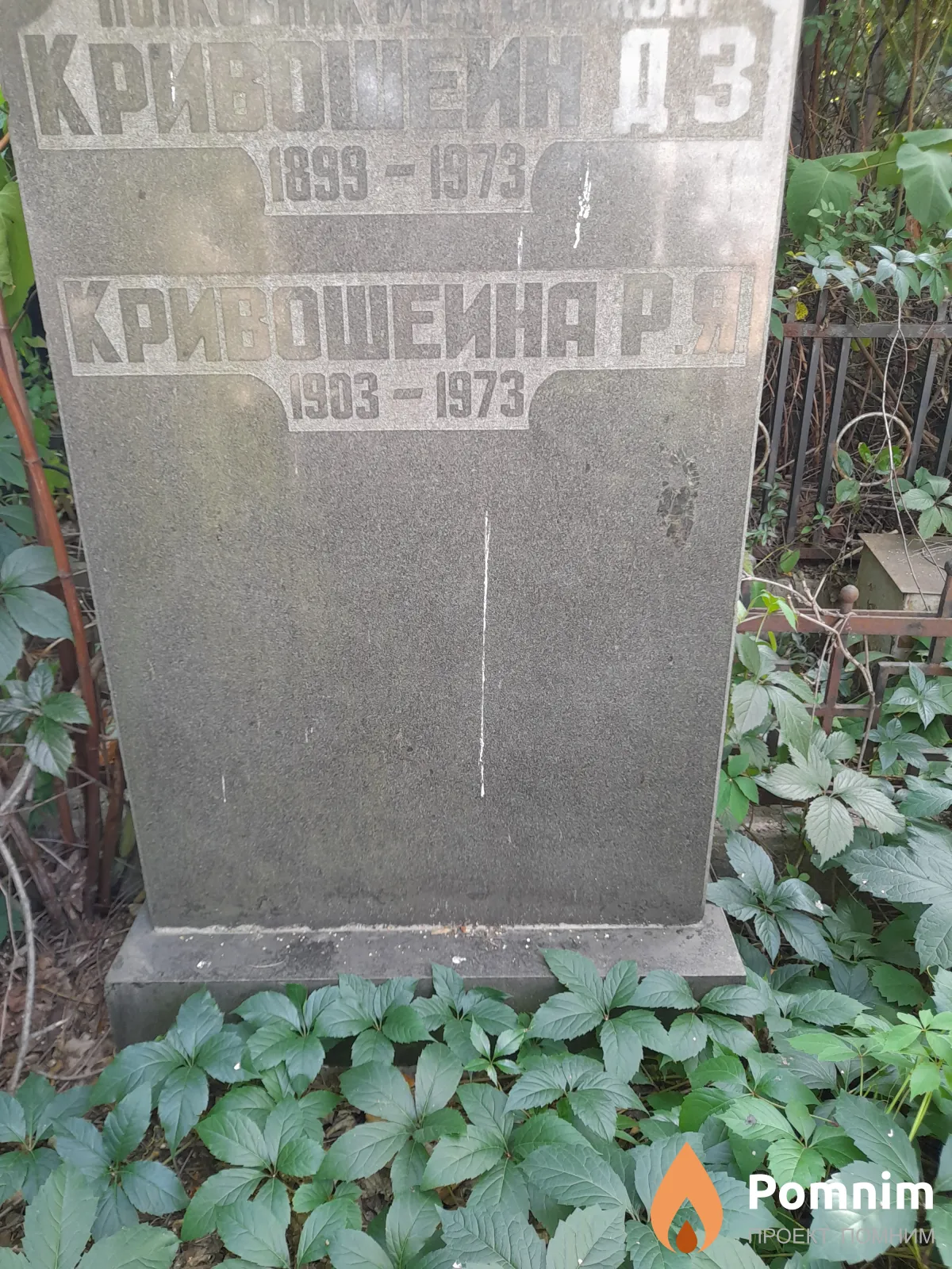 Кривошейна Р Я