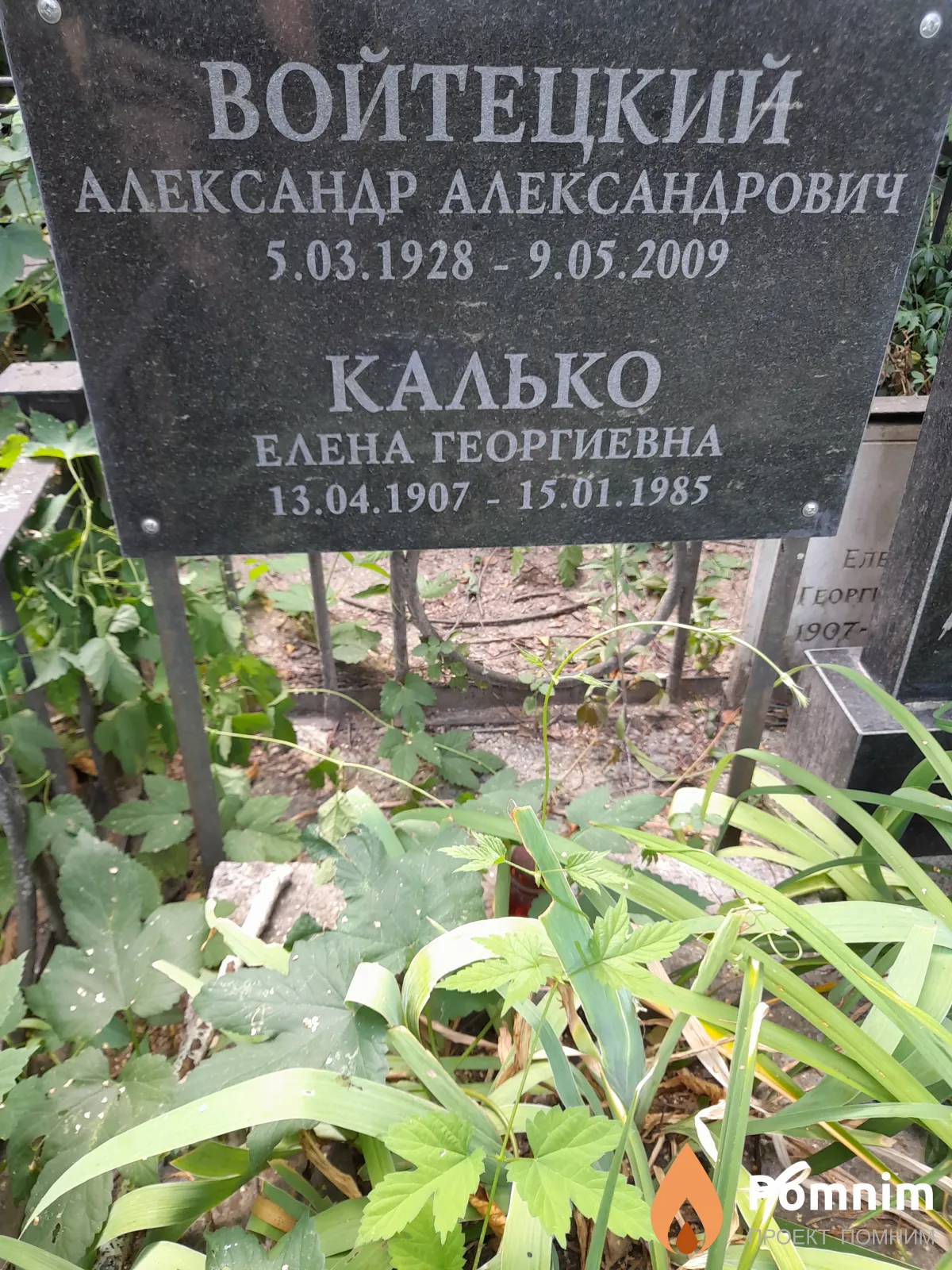 Войтецкий Александр Александрович